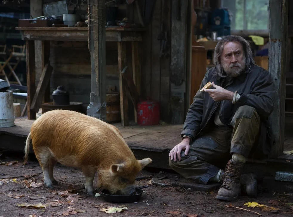 Pig