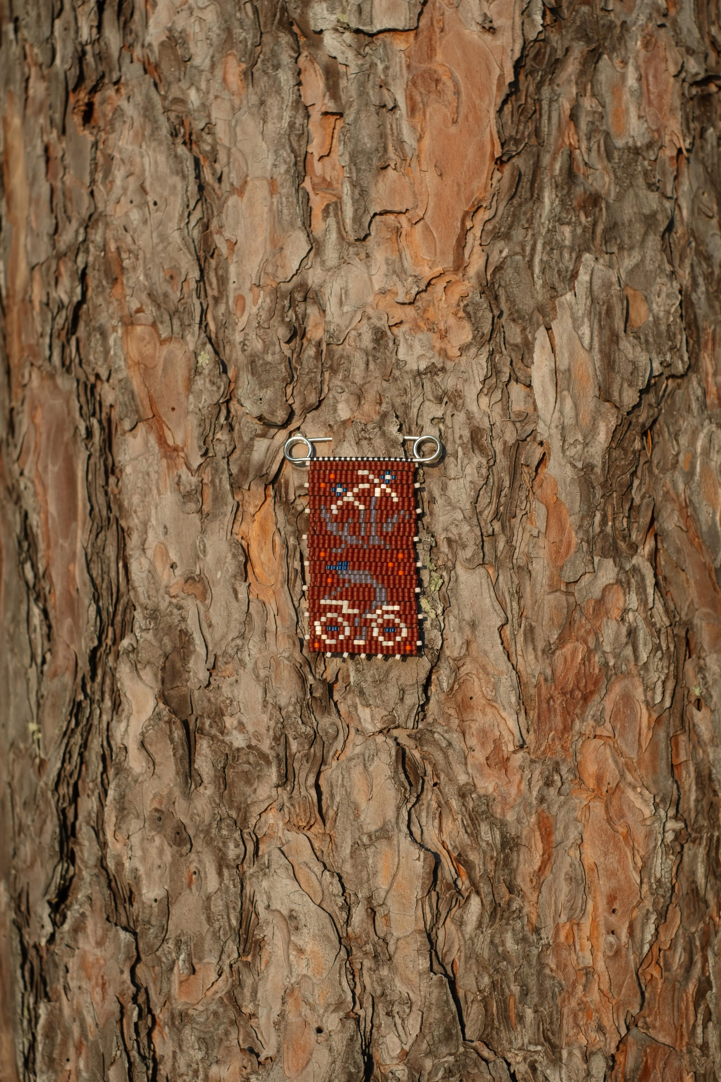 DSCF5096.jpg
