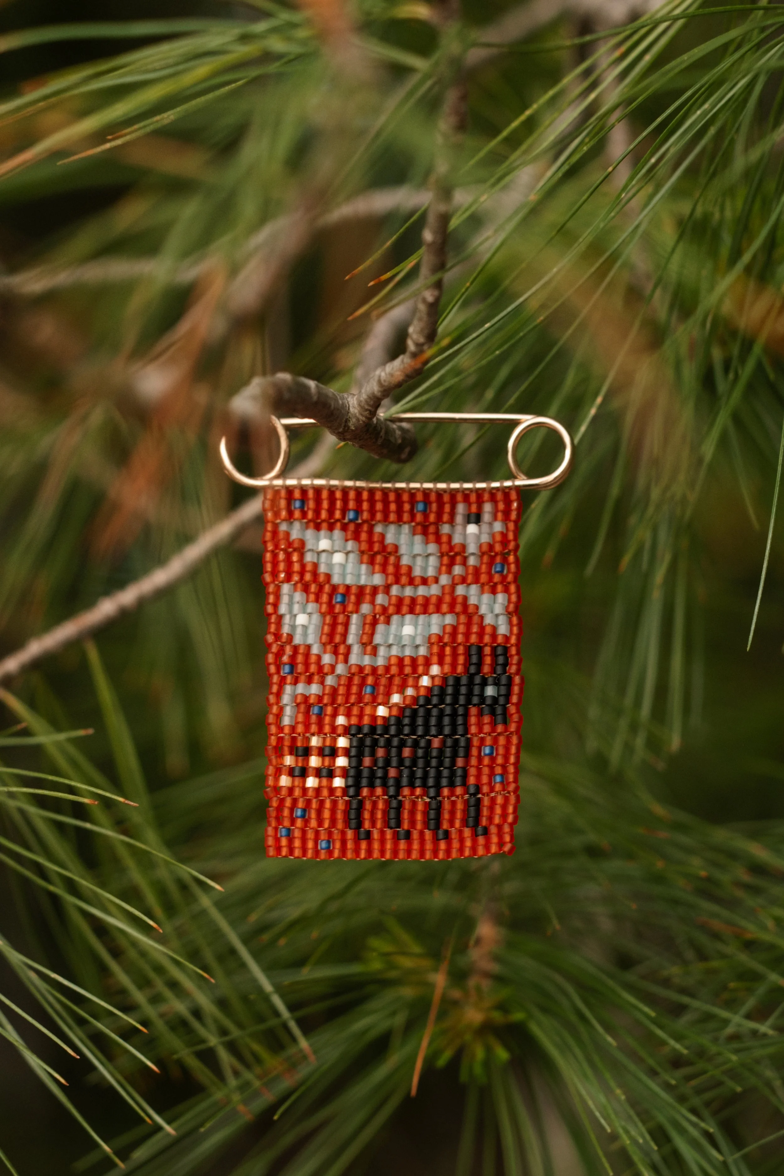 DSCF5118.jpg