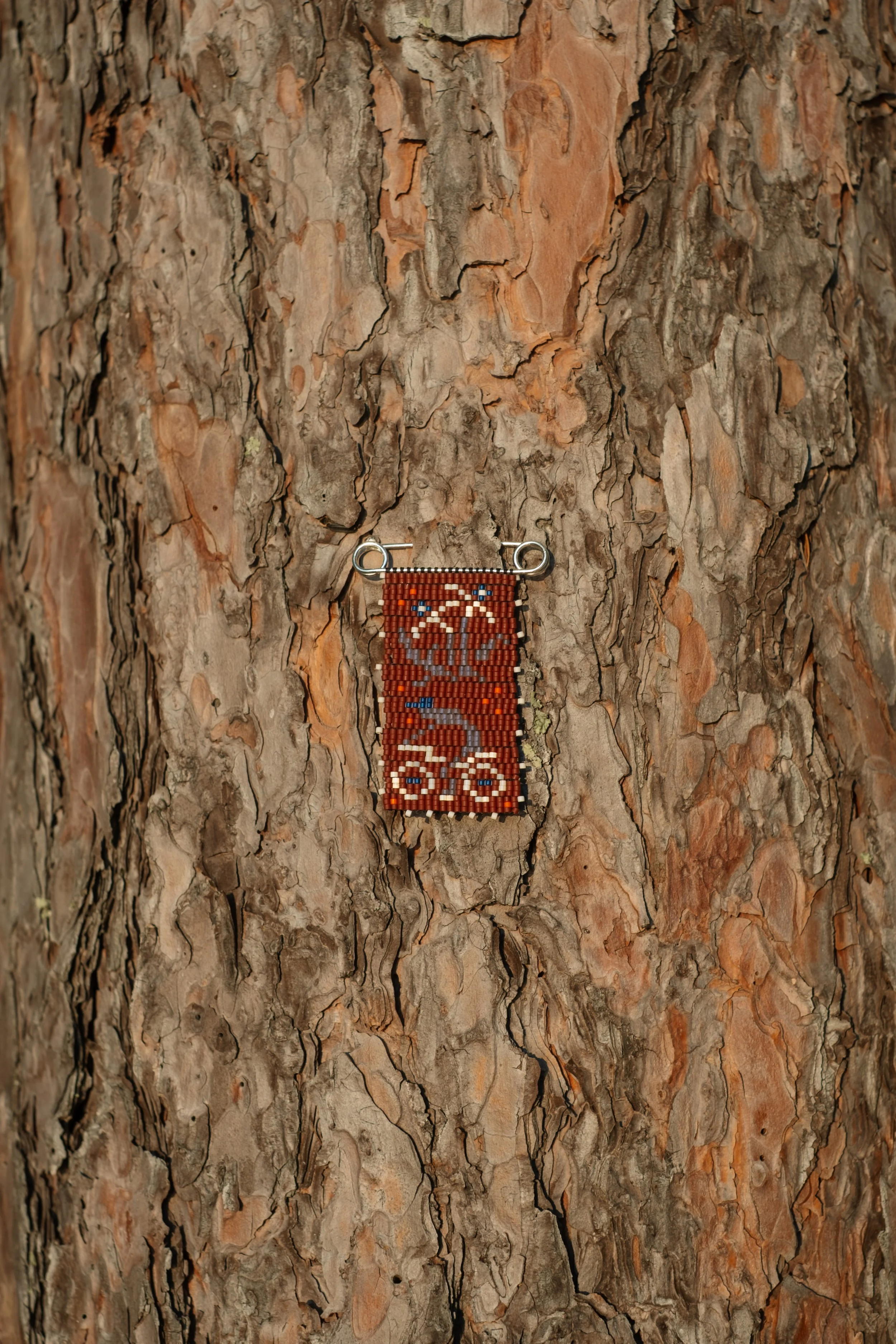 DSCF5096.jpg