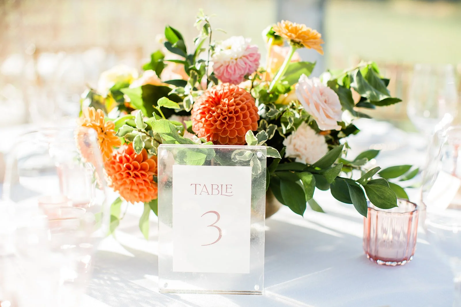 150- AnneAllenTopPhotos.jpg