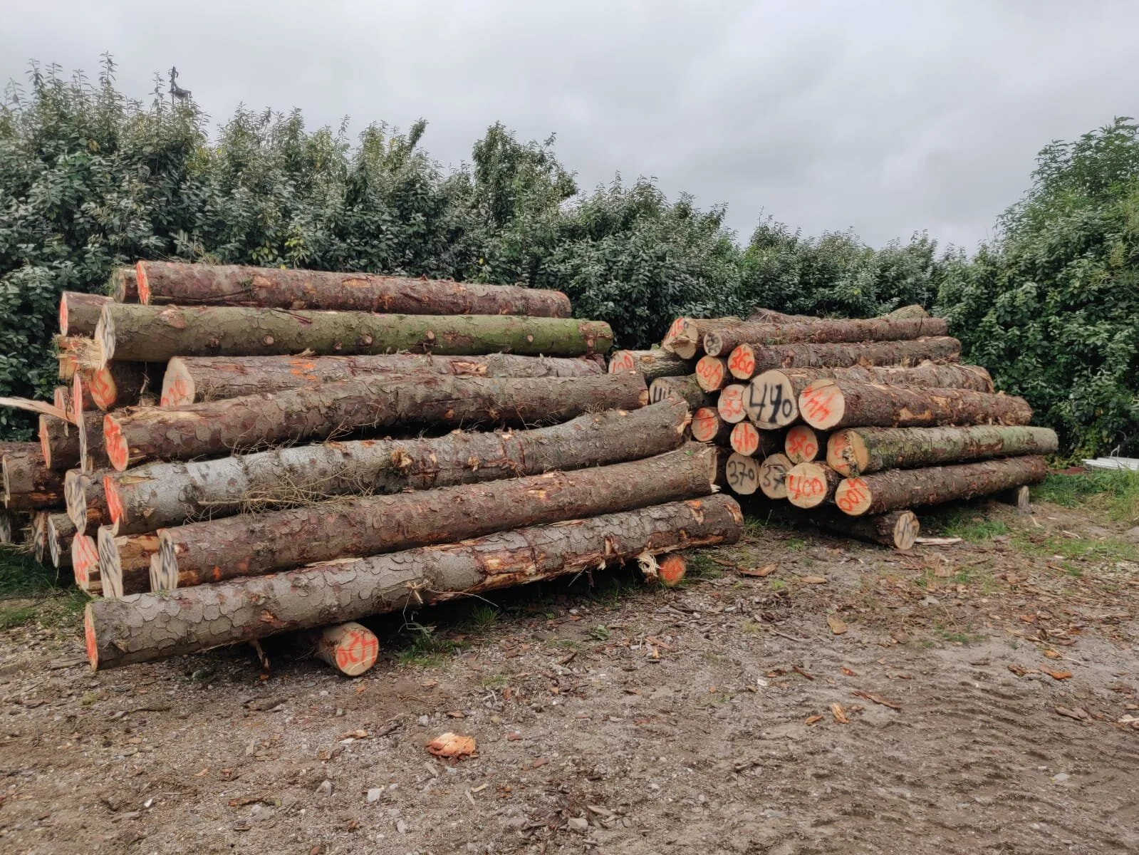 WhatsApp Image 2021-01-07 at 15.12.50 (6).jpeg