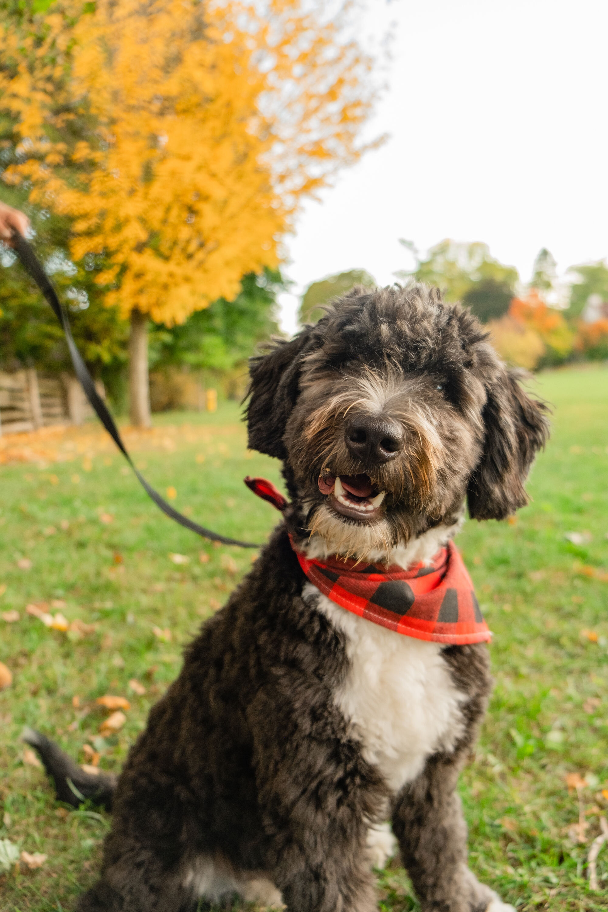 Mitch+Kirsten-Fall2020-51.jpg