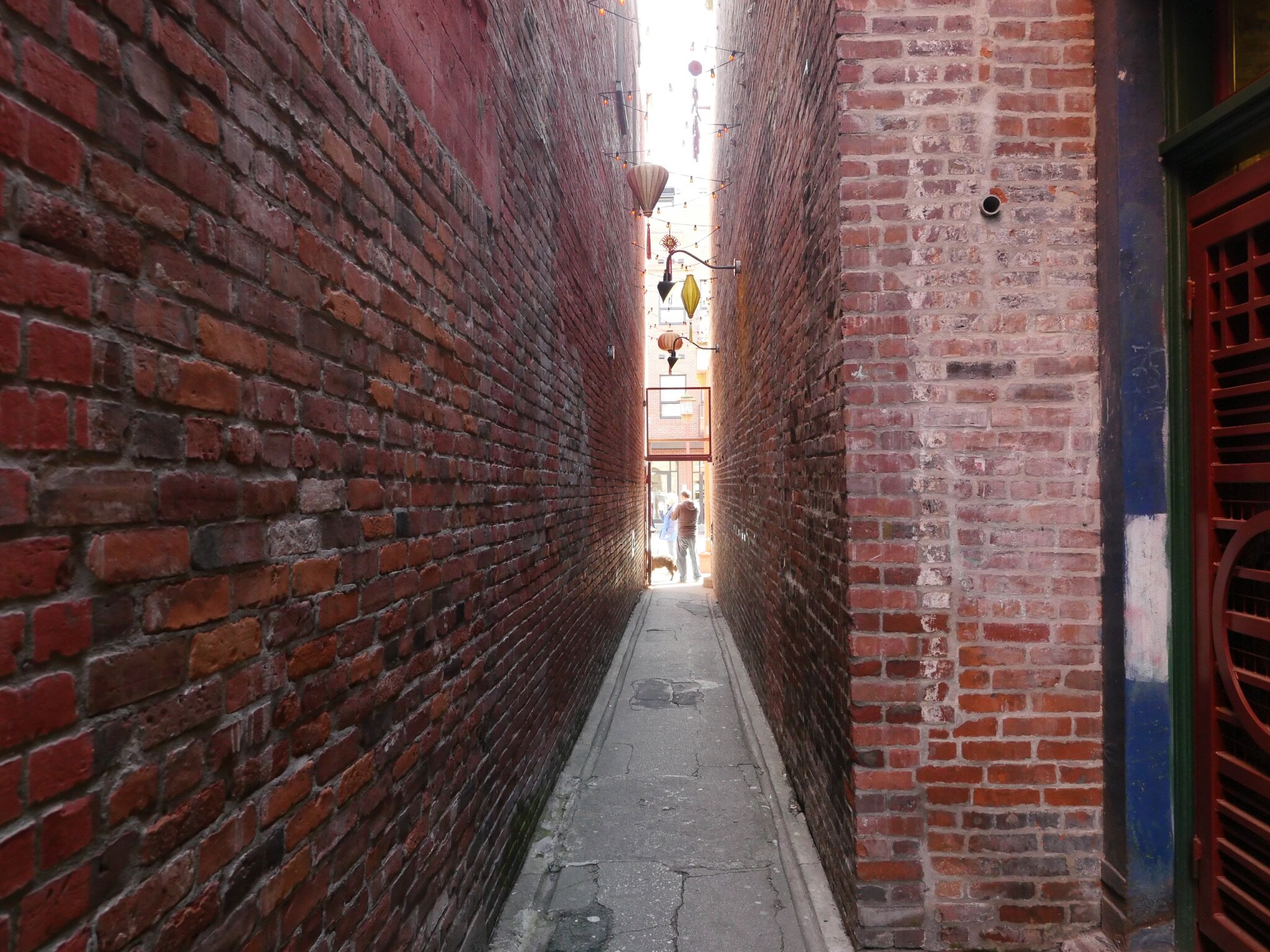 P1050705.jpg