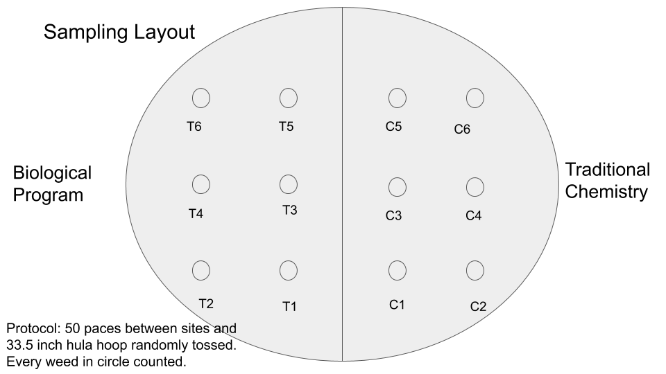 Layout.png