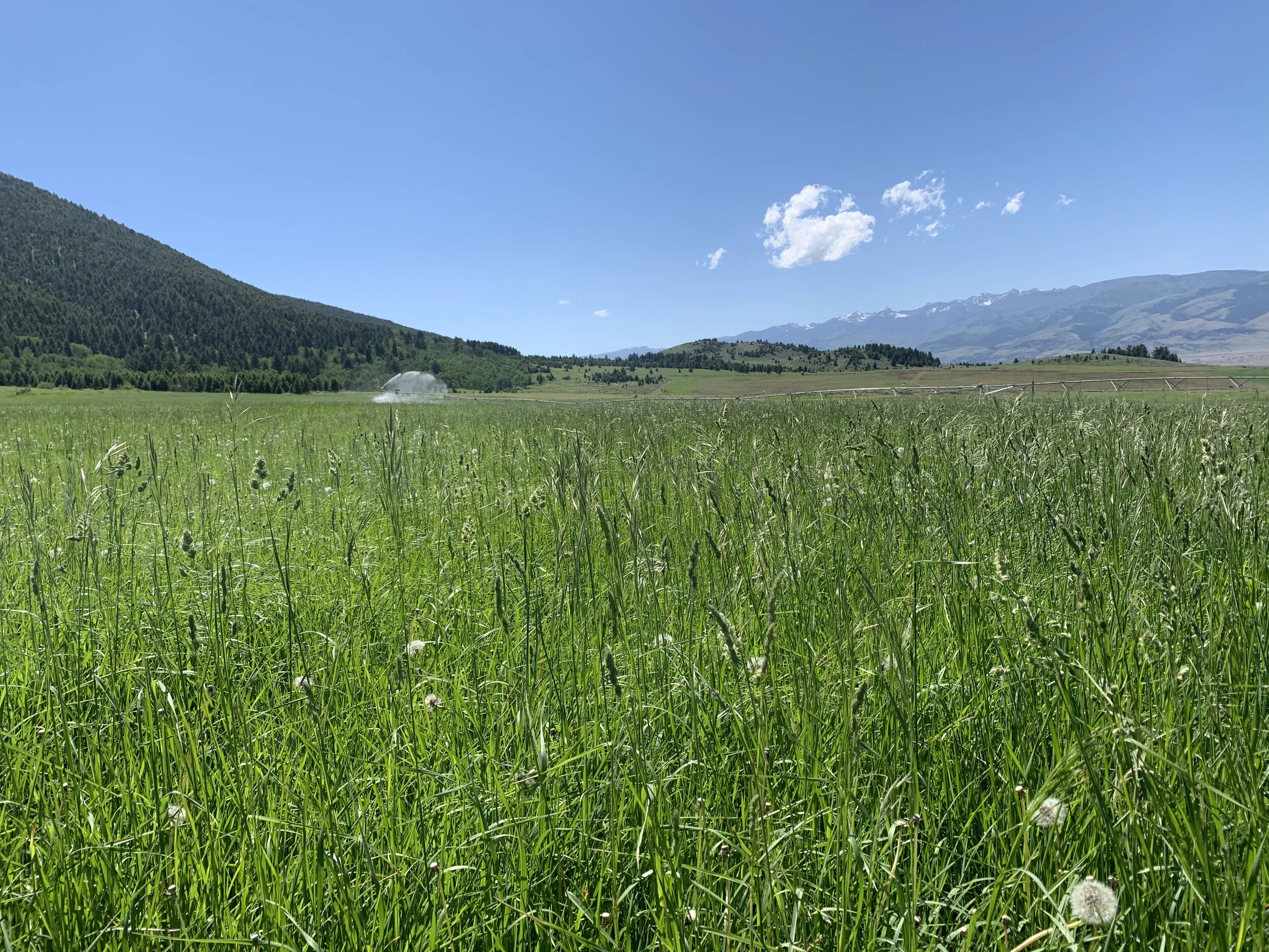 Biological Trials with our Neighbors