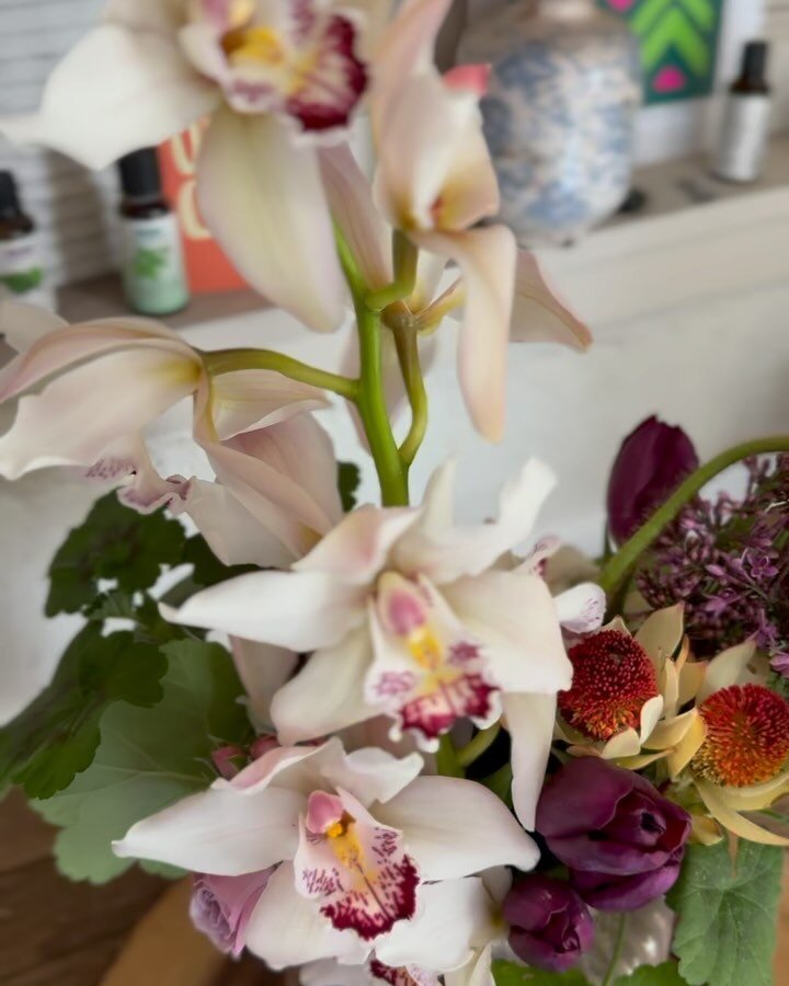 49 years of ❤️❤️. STEMS Anniversary edition.
.
.
#STEMS #nicestems #anniversary #floraldesign #flowers #fiori #hua #flores #fleur #oaklandbusiness #spring #springhassprung #orchids