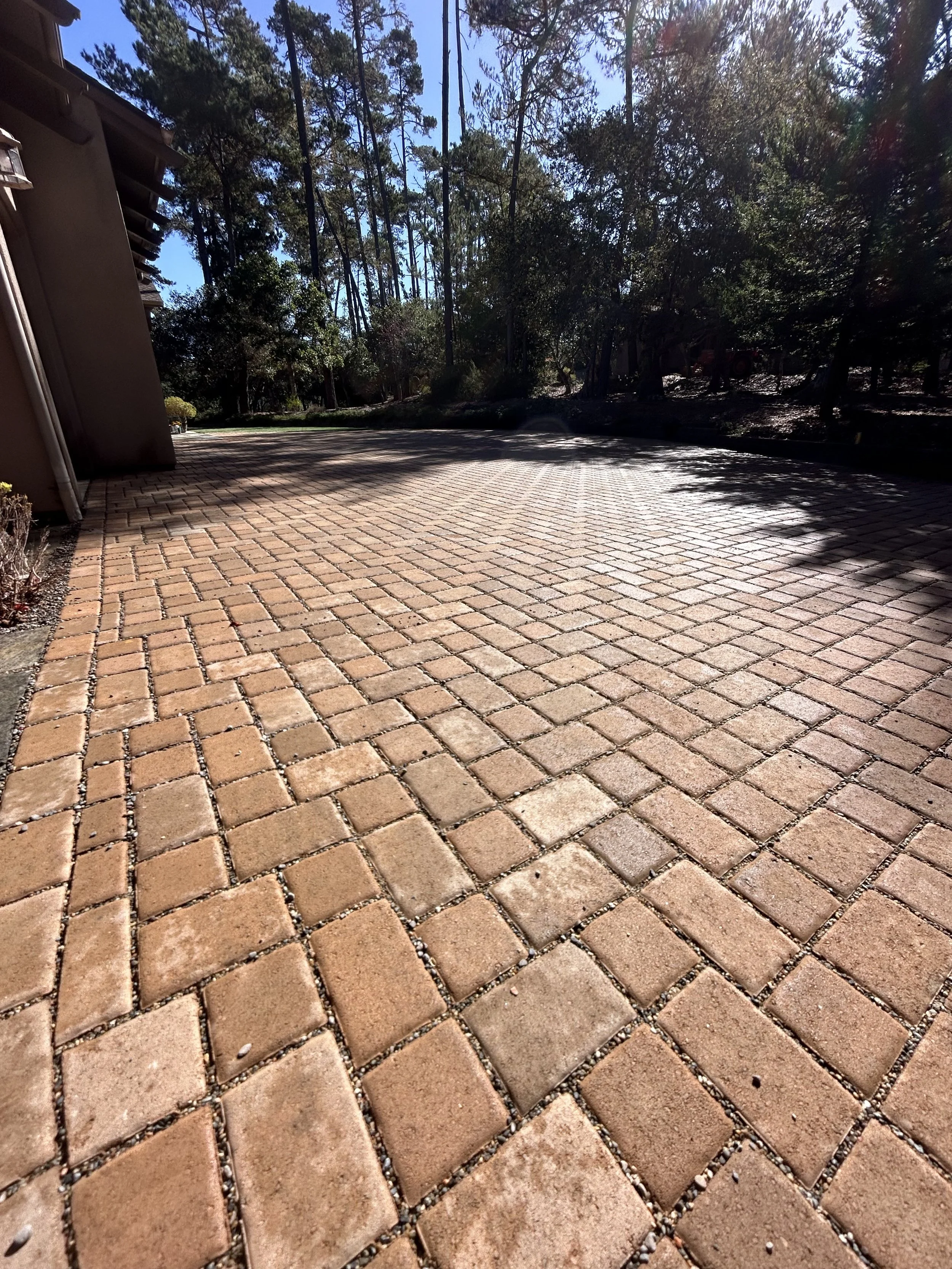 🌿💧Considering a Permeable Paving System for Your Property? 