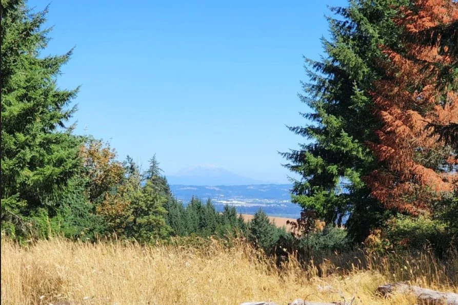 GRiT Give it a Go - Chehalem Ridge Nature Park