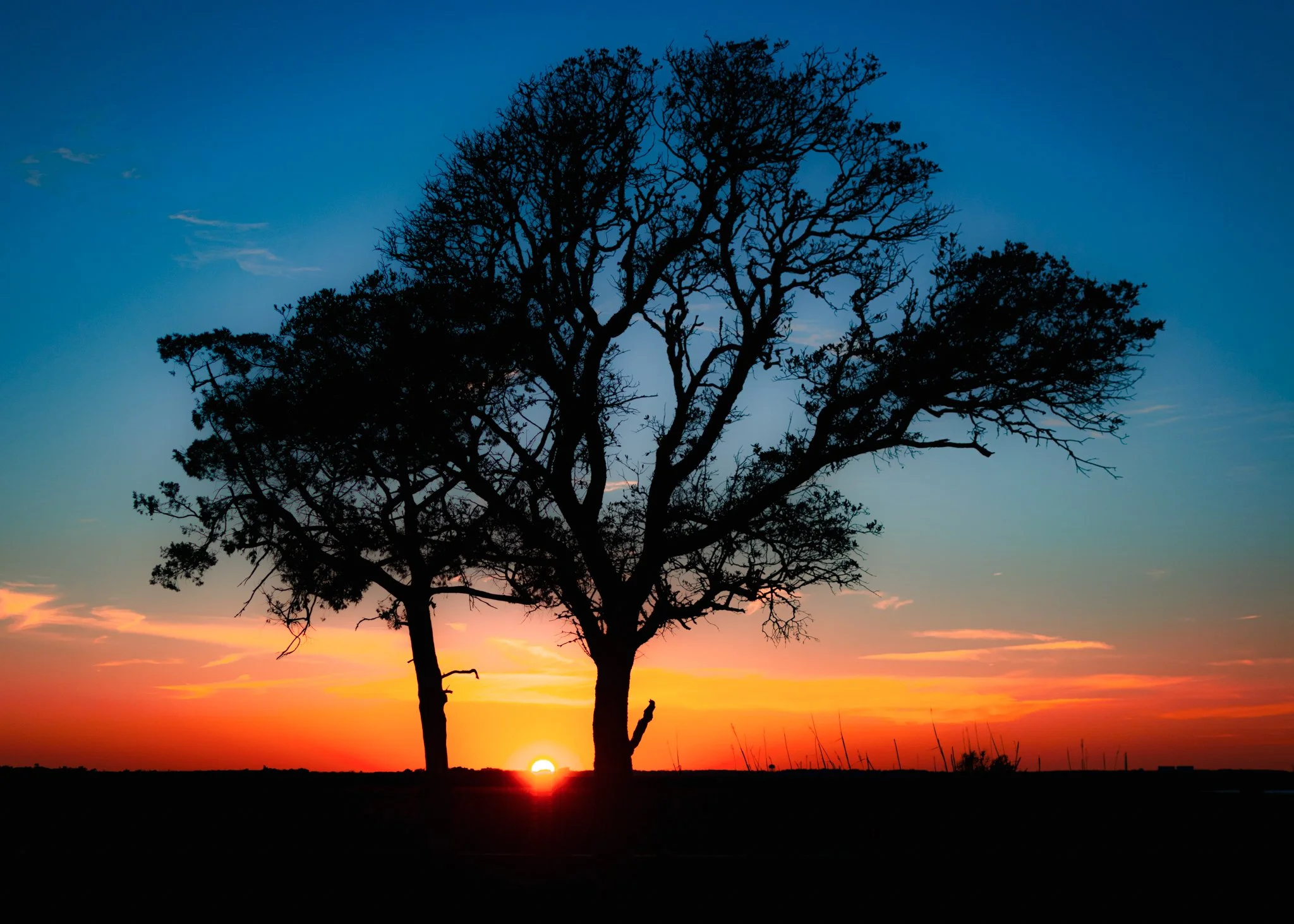 fort fisher state historic site-3.jpg