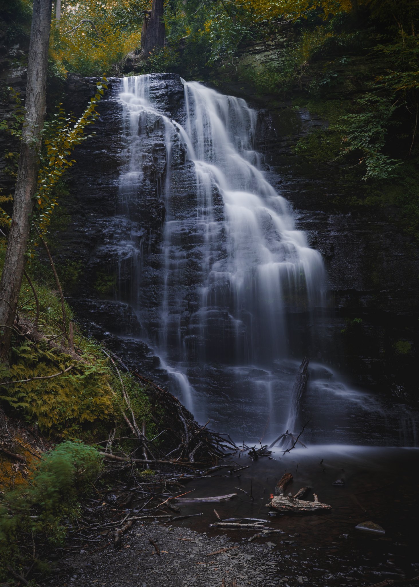 bushkill falls.jpg