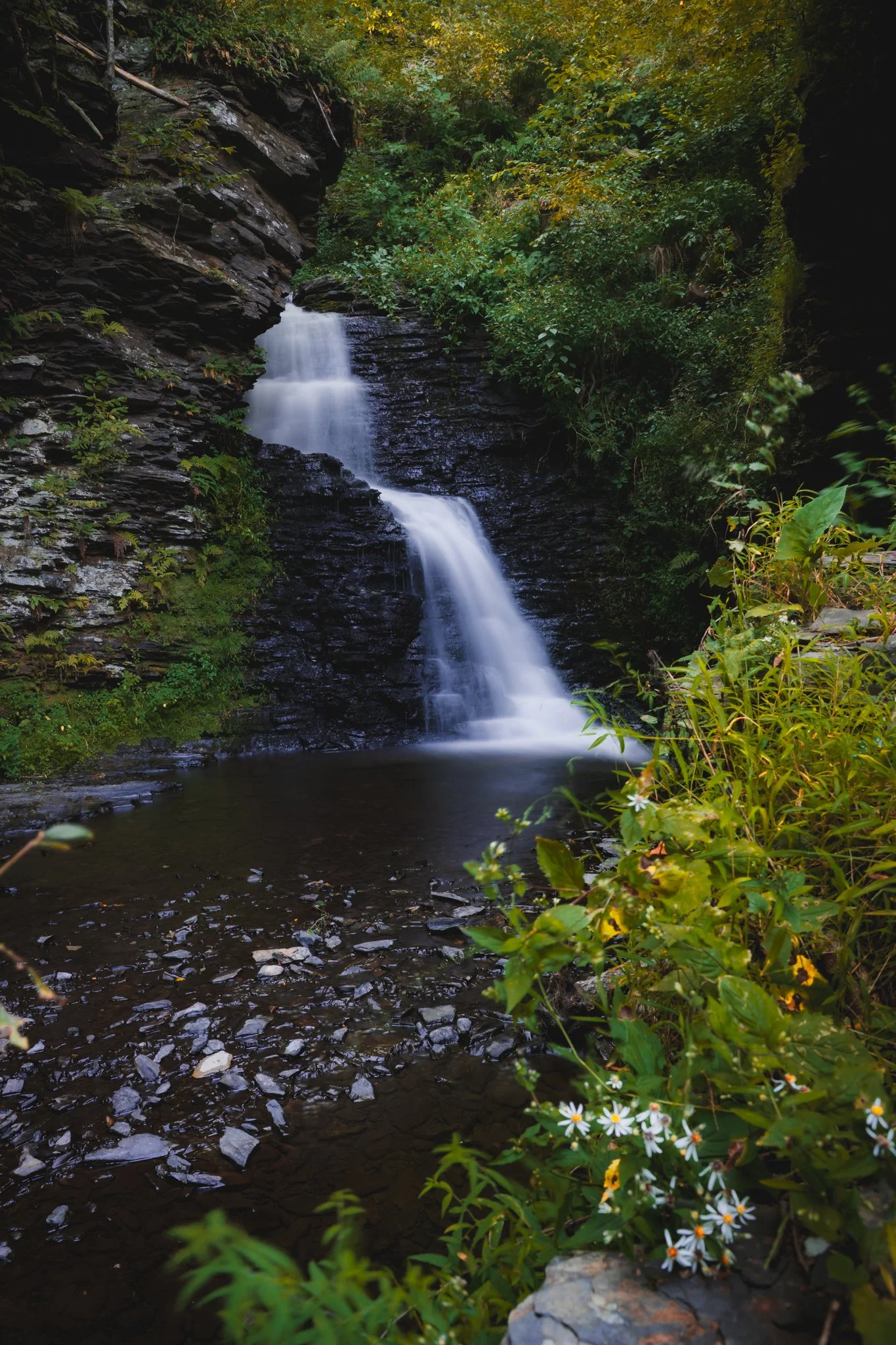 bushkill falls-1.jpg