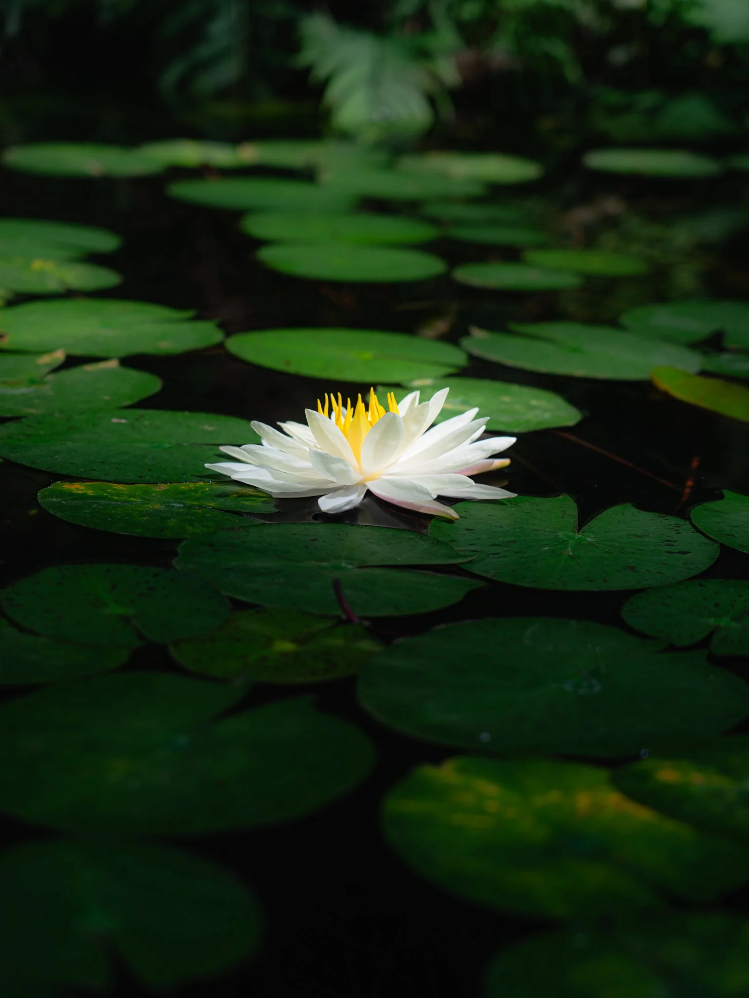 nc aquarium - fort fisher-1.jpg