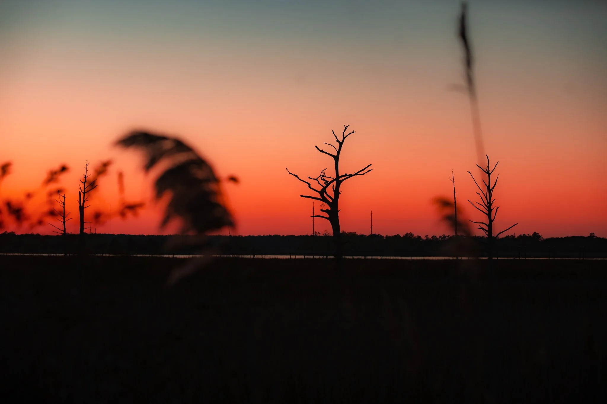 river road sunset-1.jpg