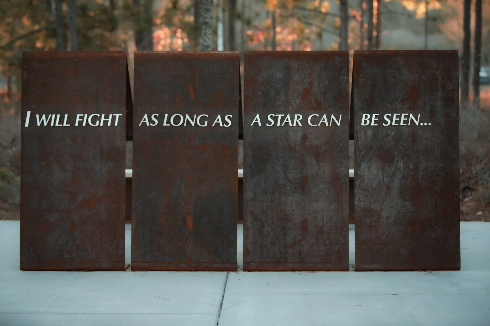 Cameron Art Museum - Unbound-2.jpg