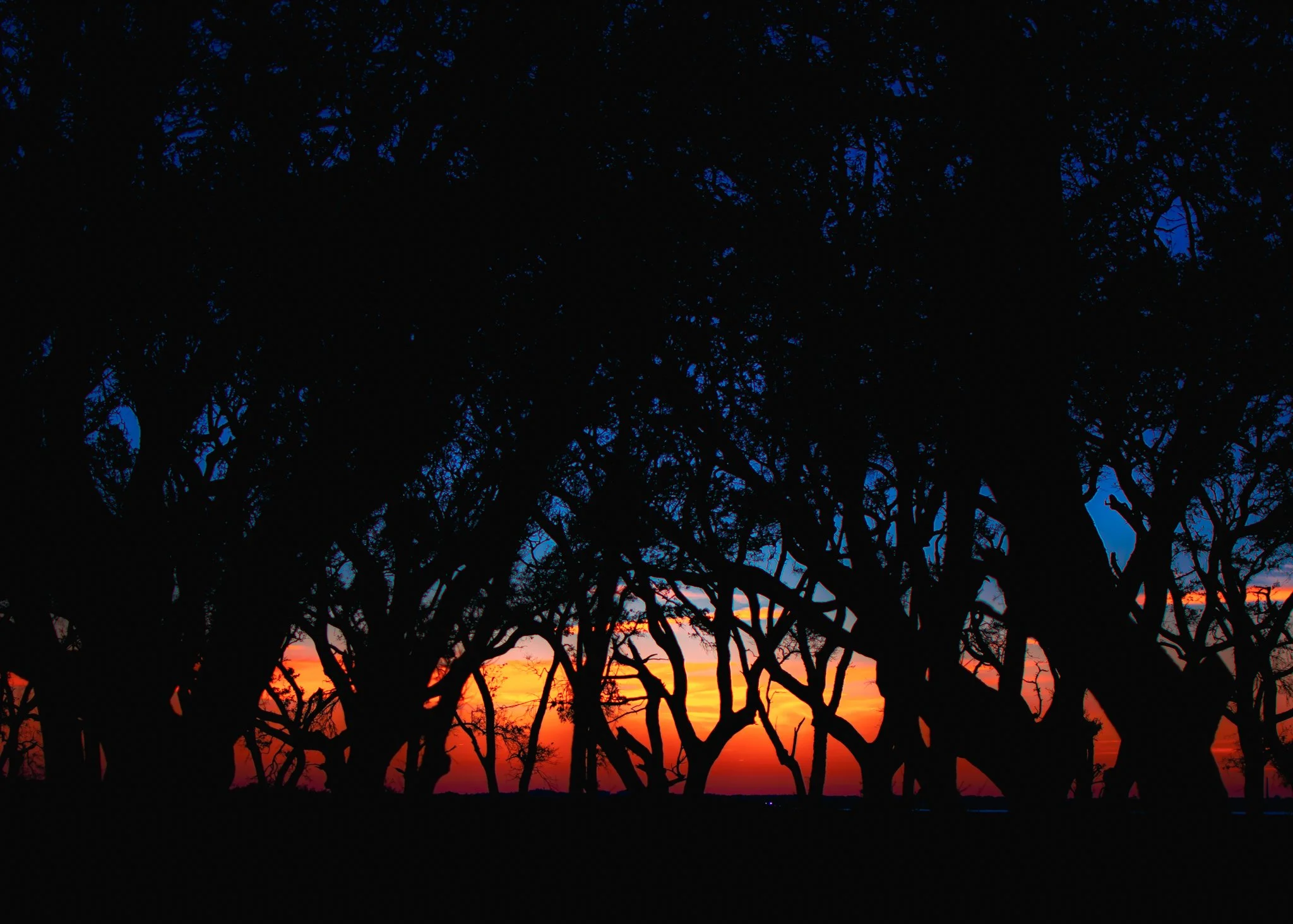 fort fisher state historic site-1-2.jpg