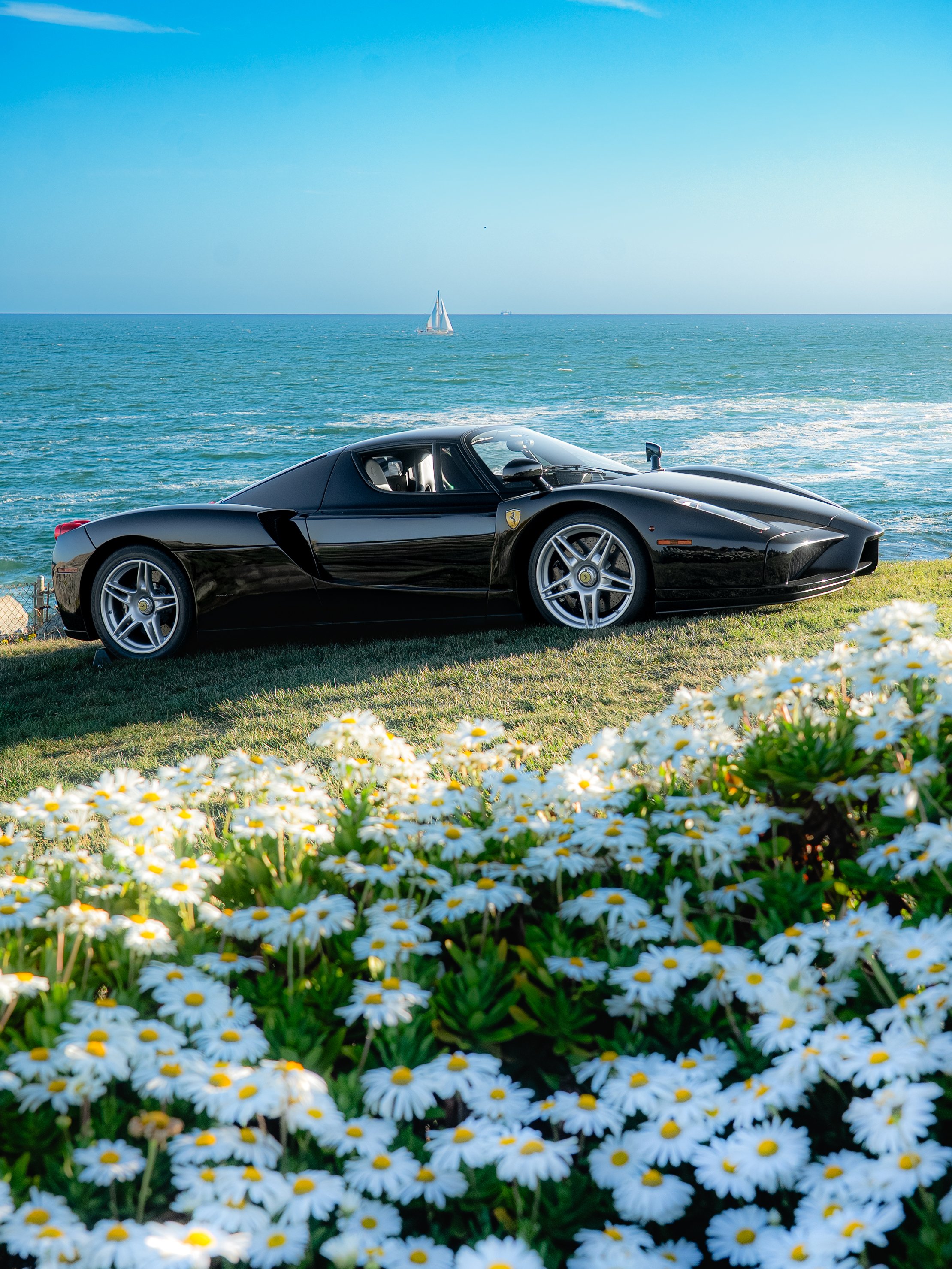 ferrari enzo.jpg