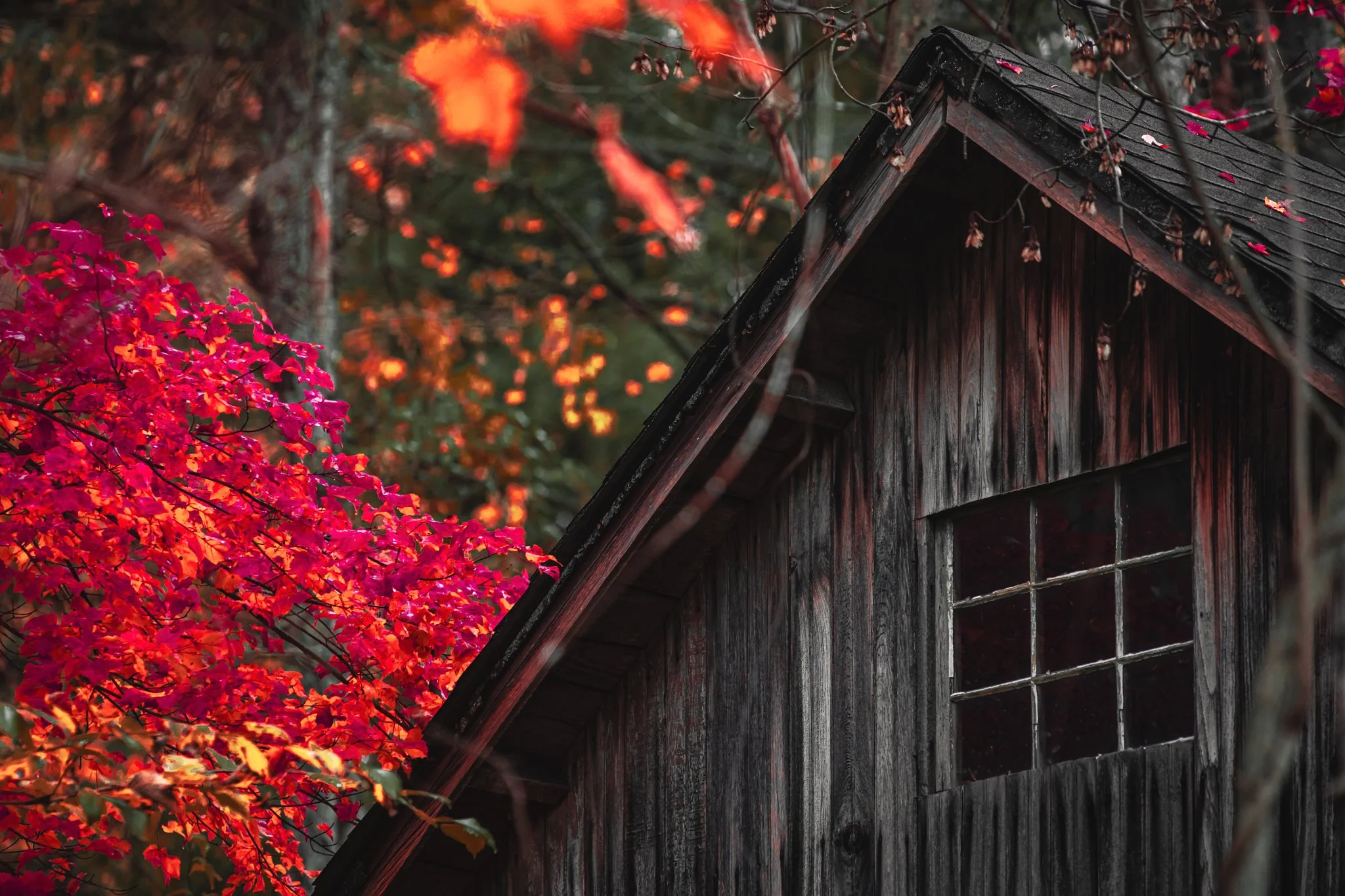 barn in fall.jpg