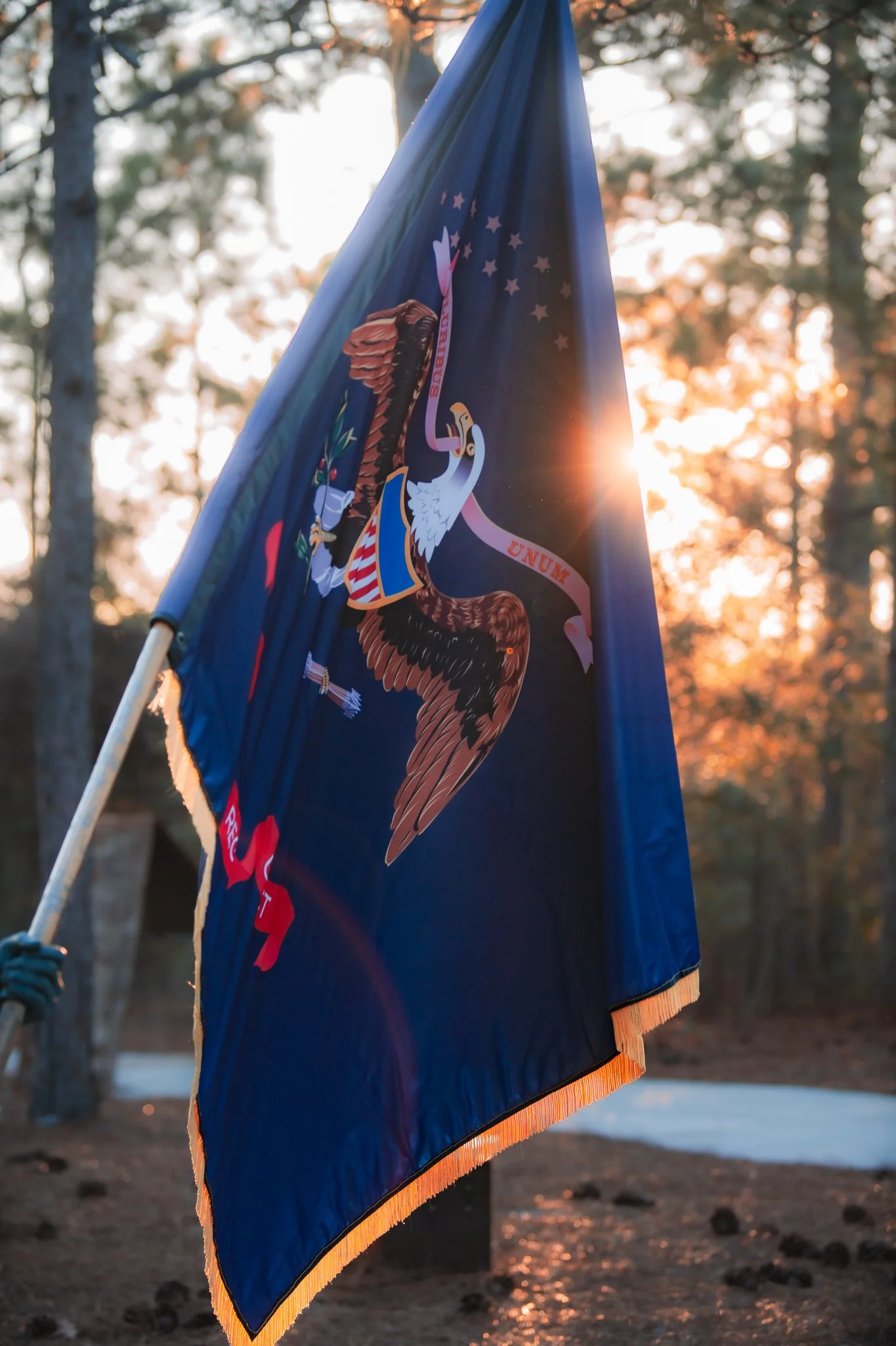 Cameron Art Museum - Unbound-1.jpg