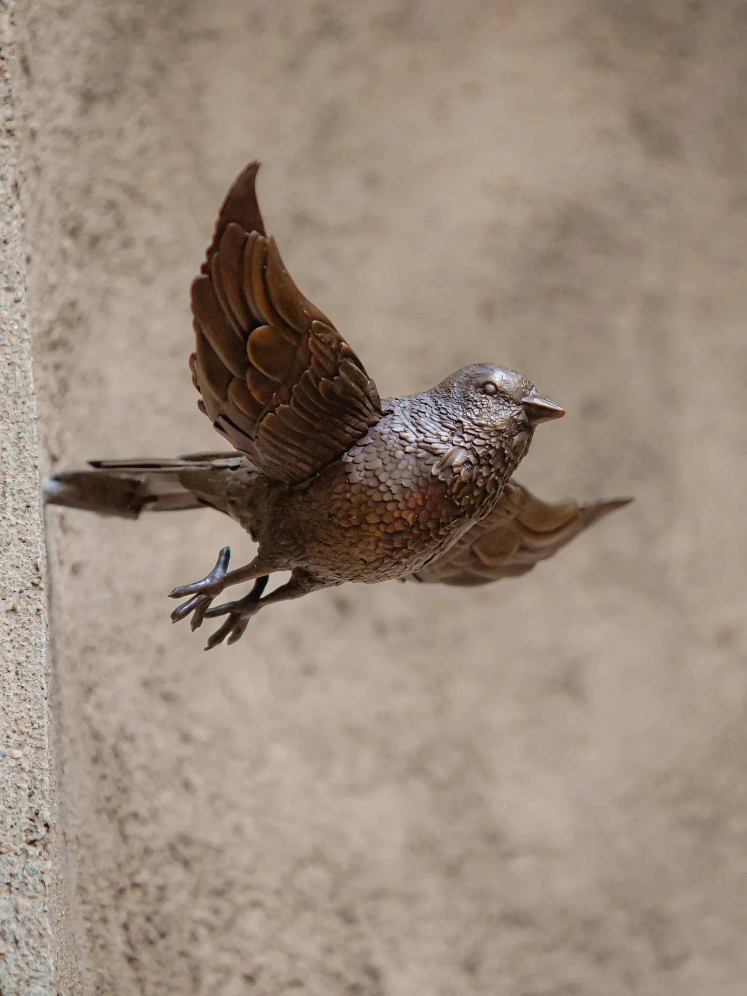 harmonia rosales - unbound-5.jpg