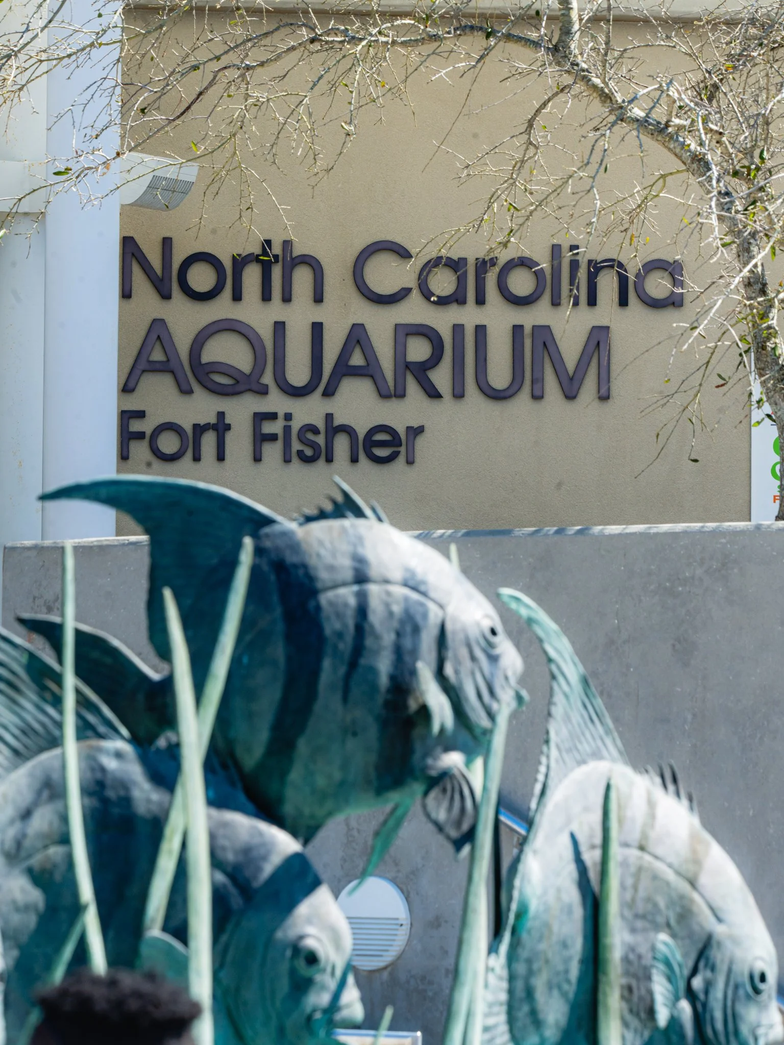 nc aquarium - fort fisher.jpg
