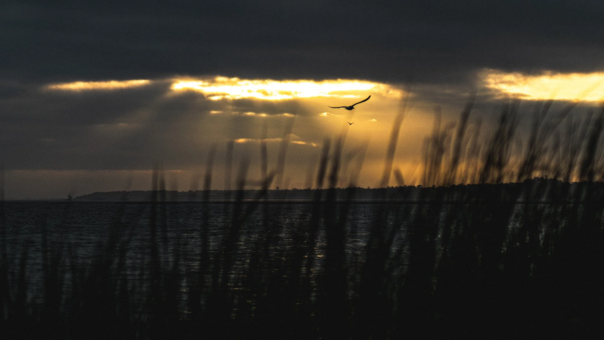 fort fisher state recreation area.jpg