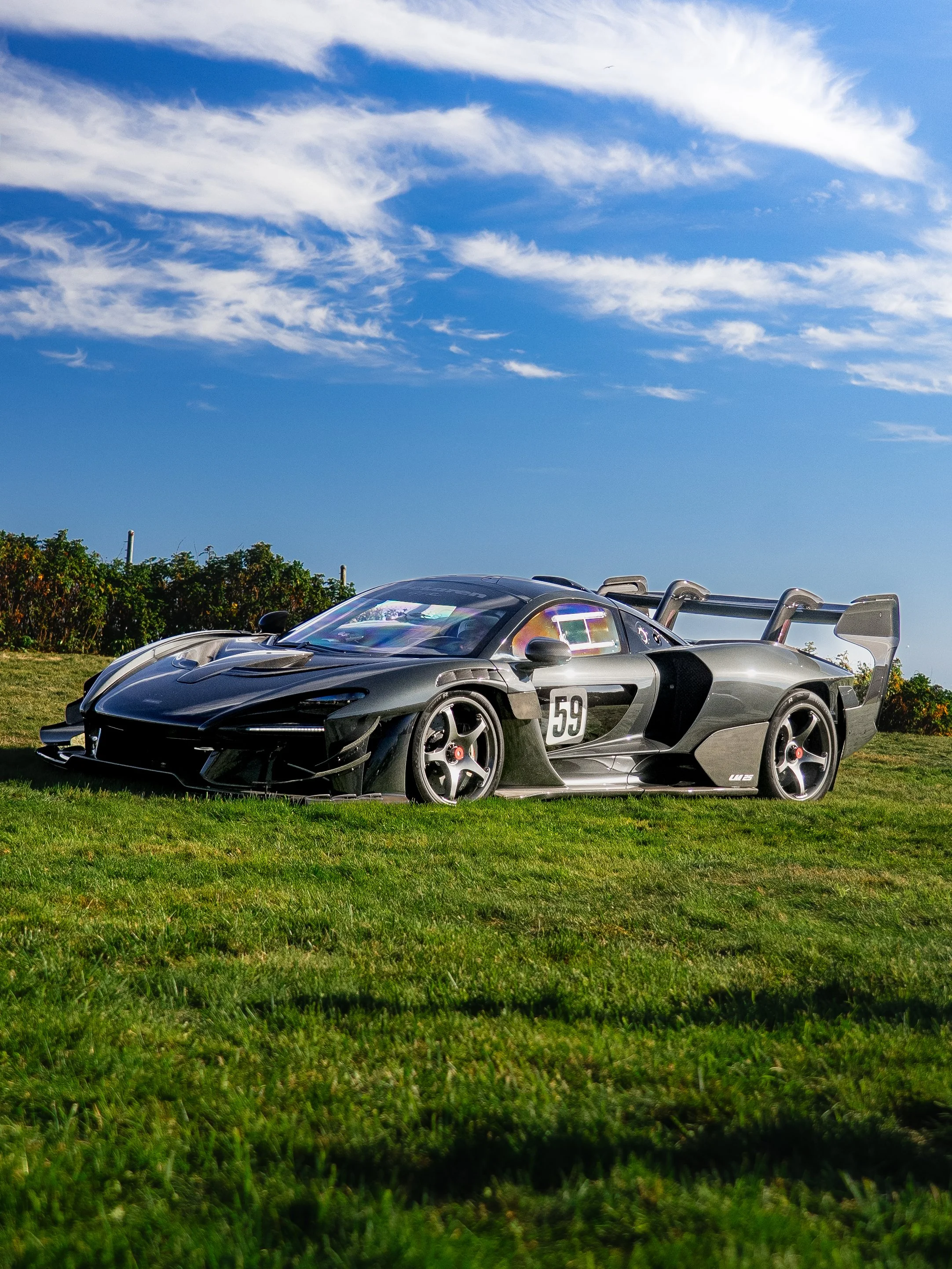 mclaren senna gtr lm25.jpg