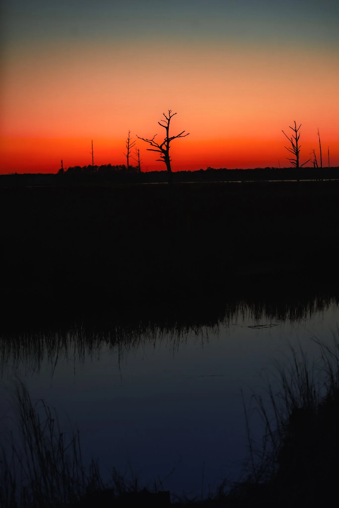 river road sunset.jpg