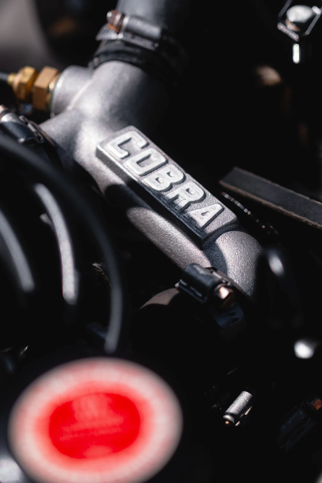audrain_2025-10.jpg
