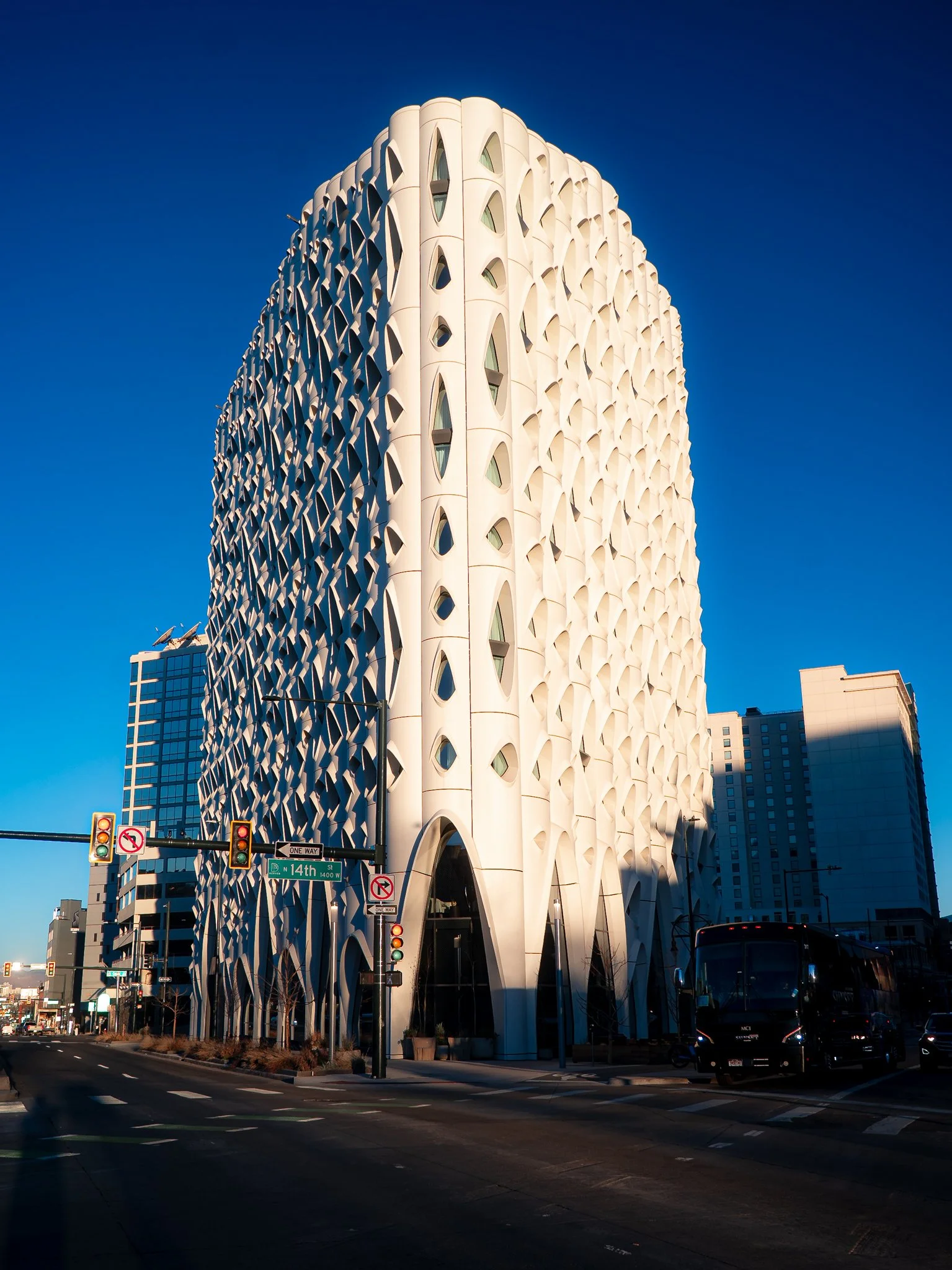 populus denver.jpg