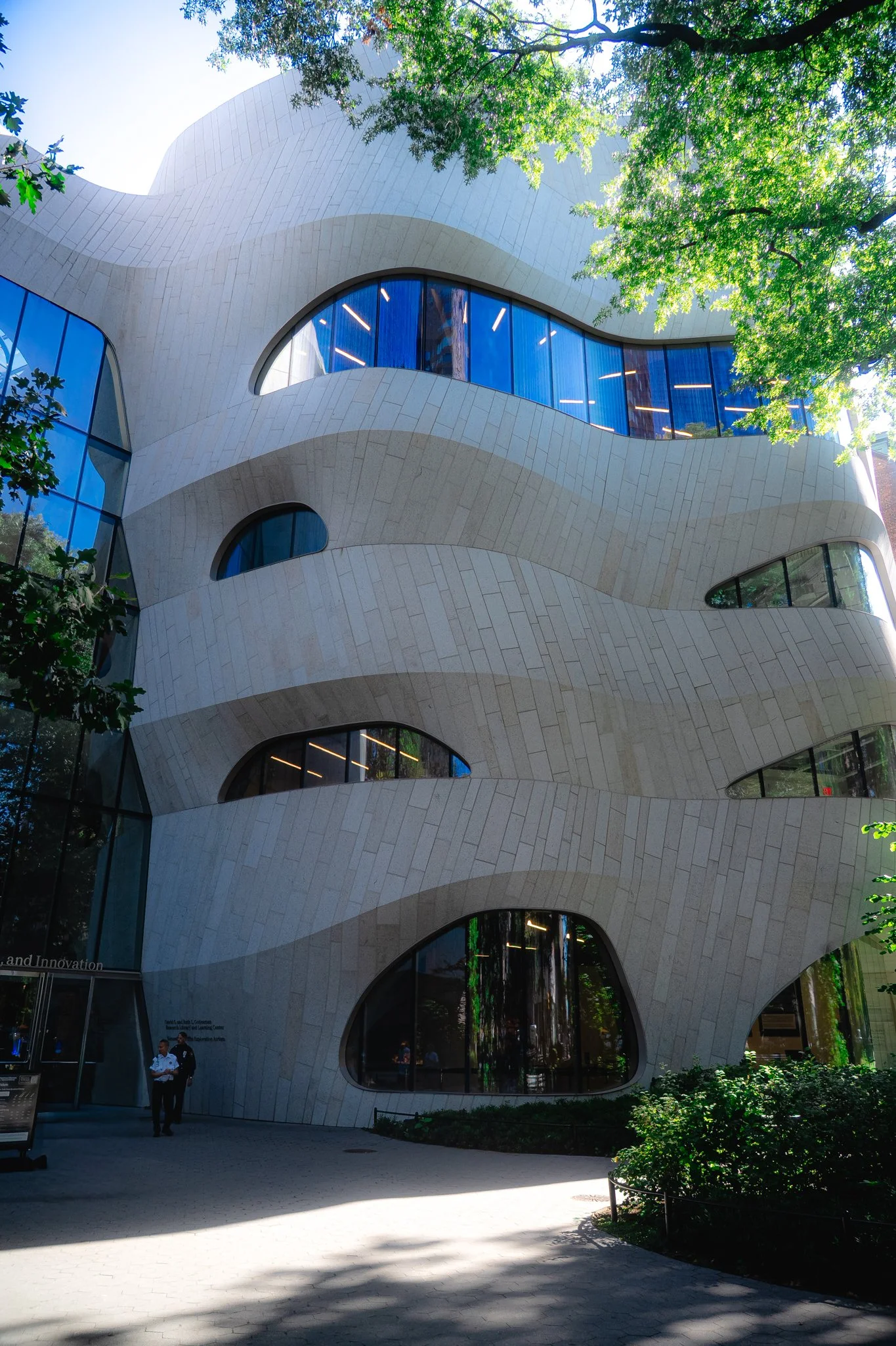american museum of natural history-3.jpg