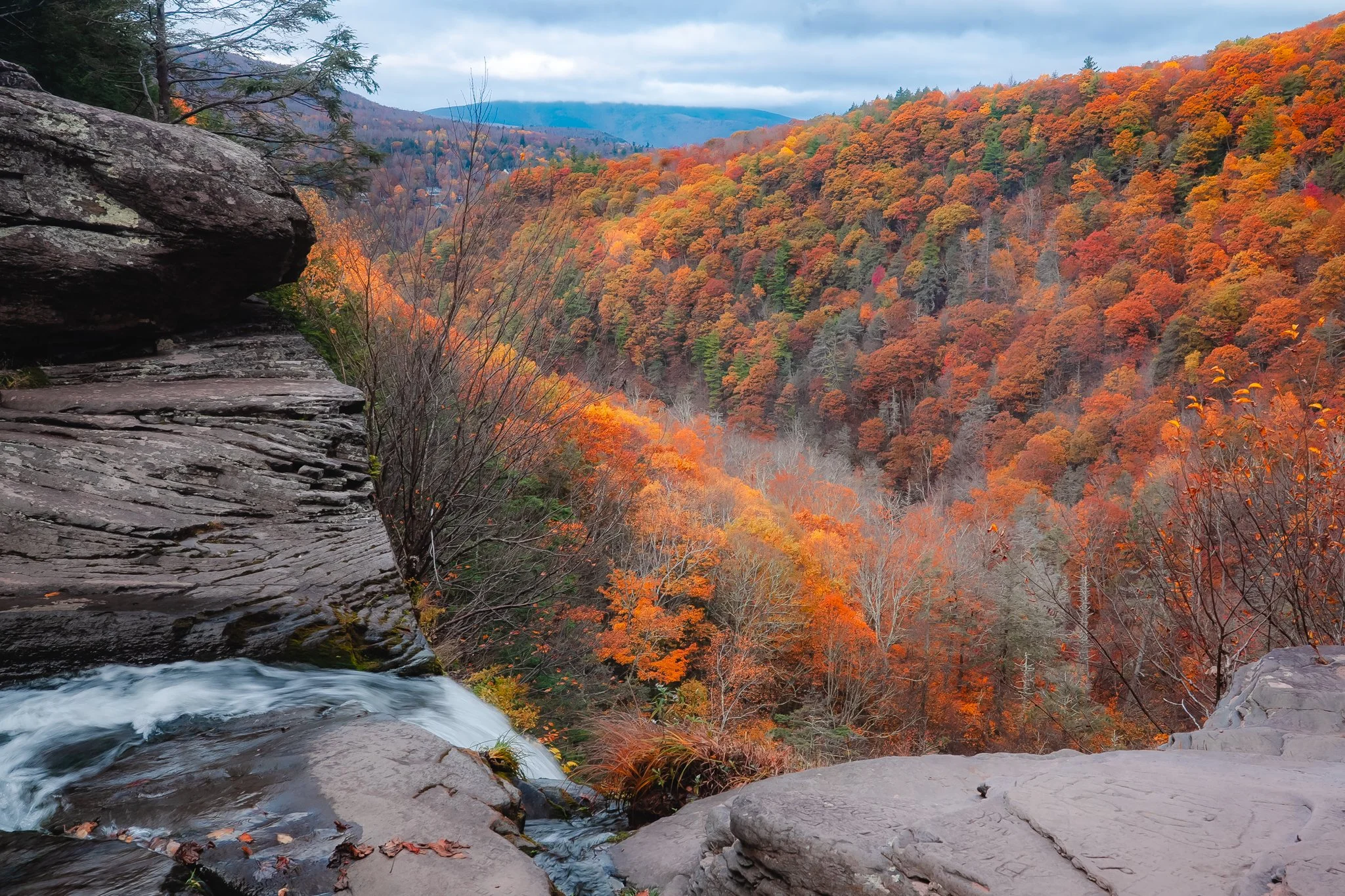 kaaterskill clove.jpg