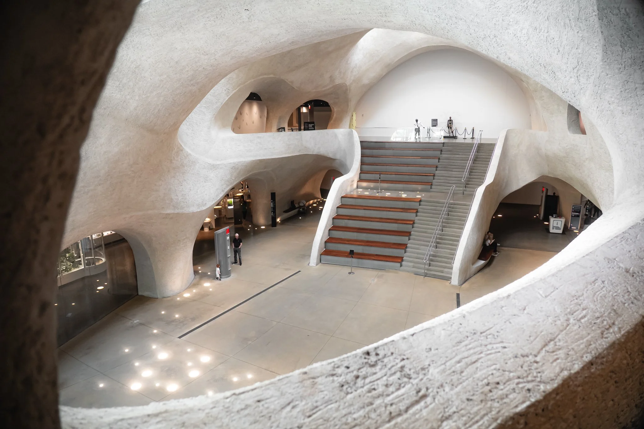 american museum of natural history.jpg