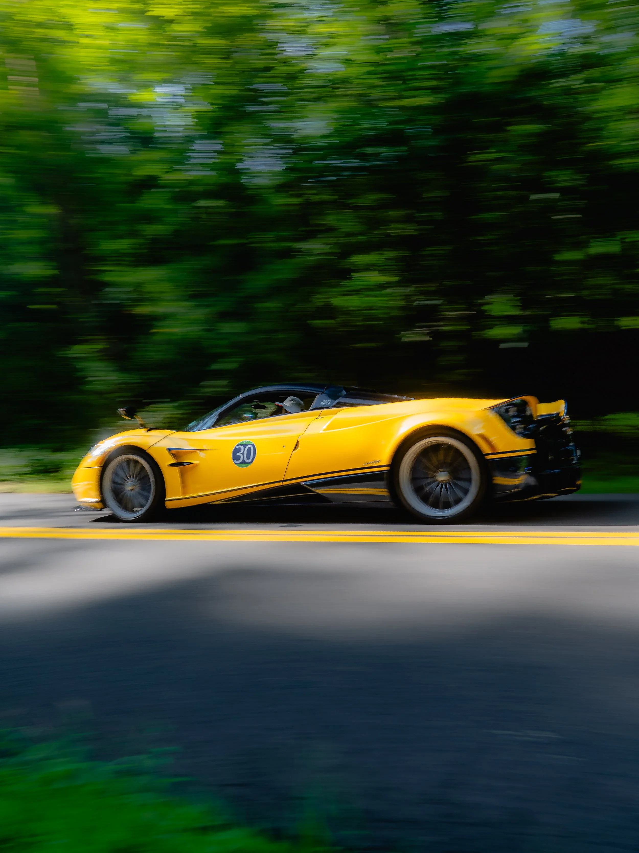 pagani.jpg