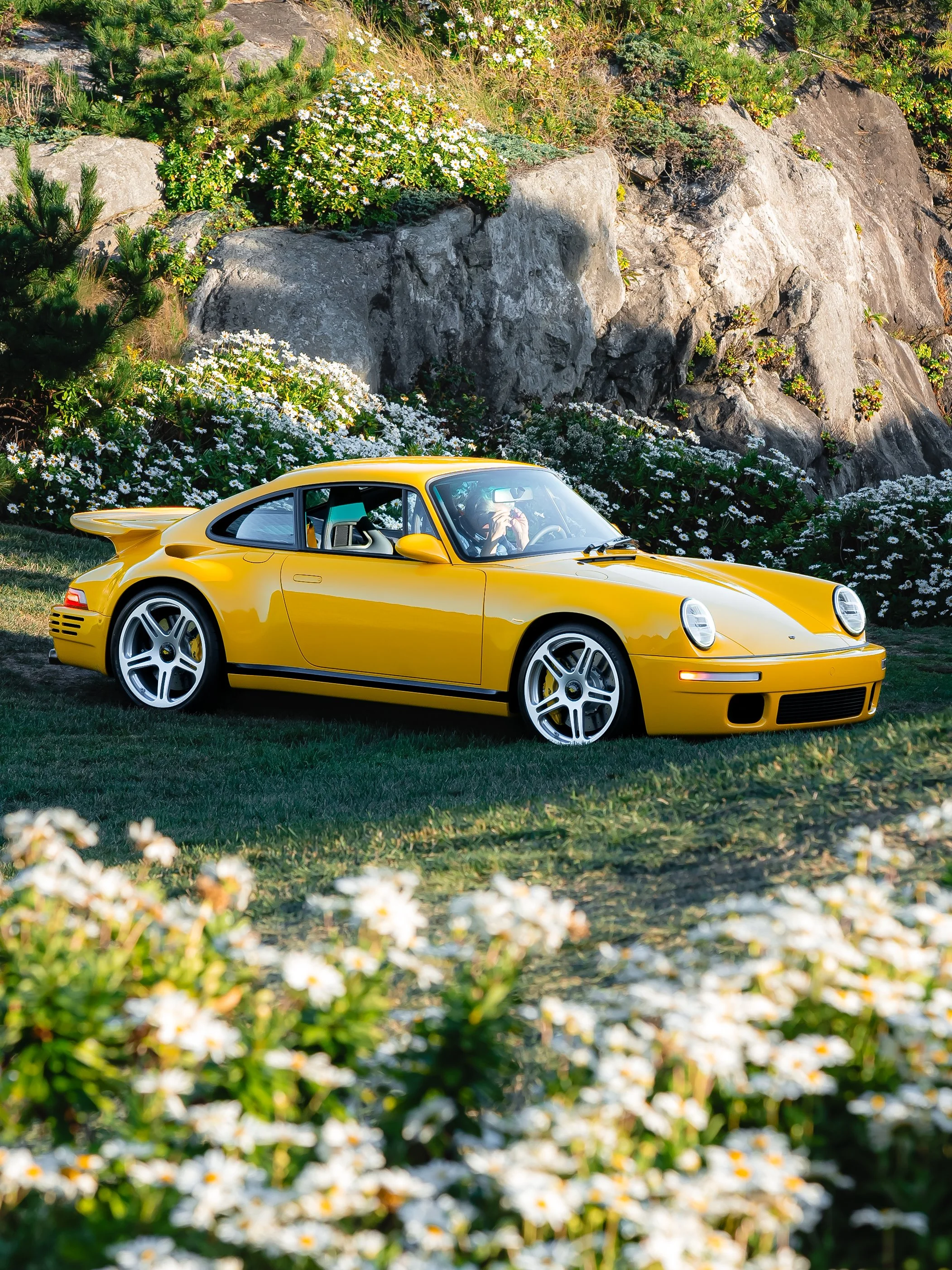 ruf ctr yellowbird.jpg
