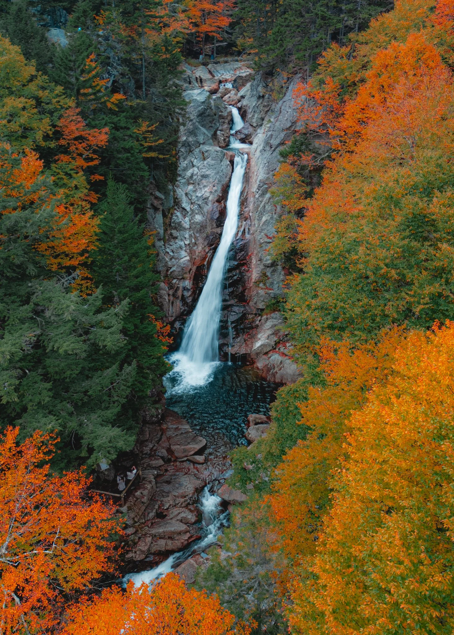 ellis falls-1.jpg