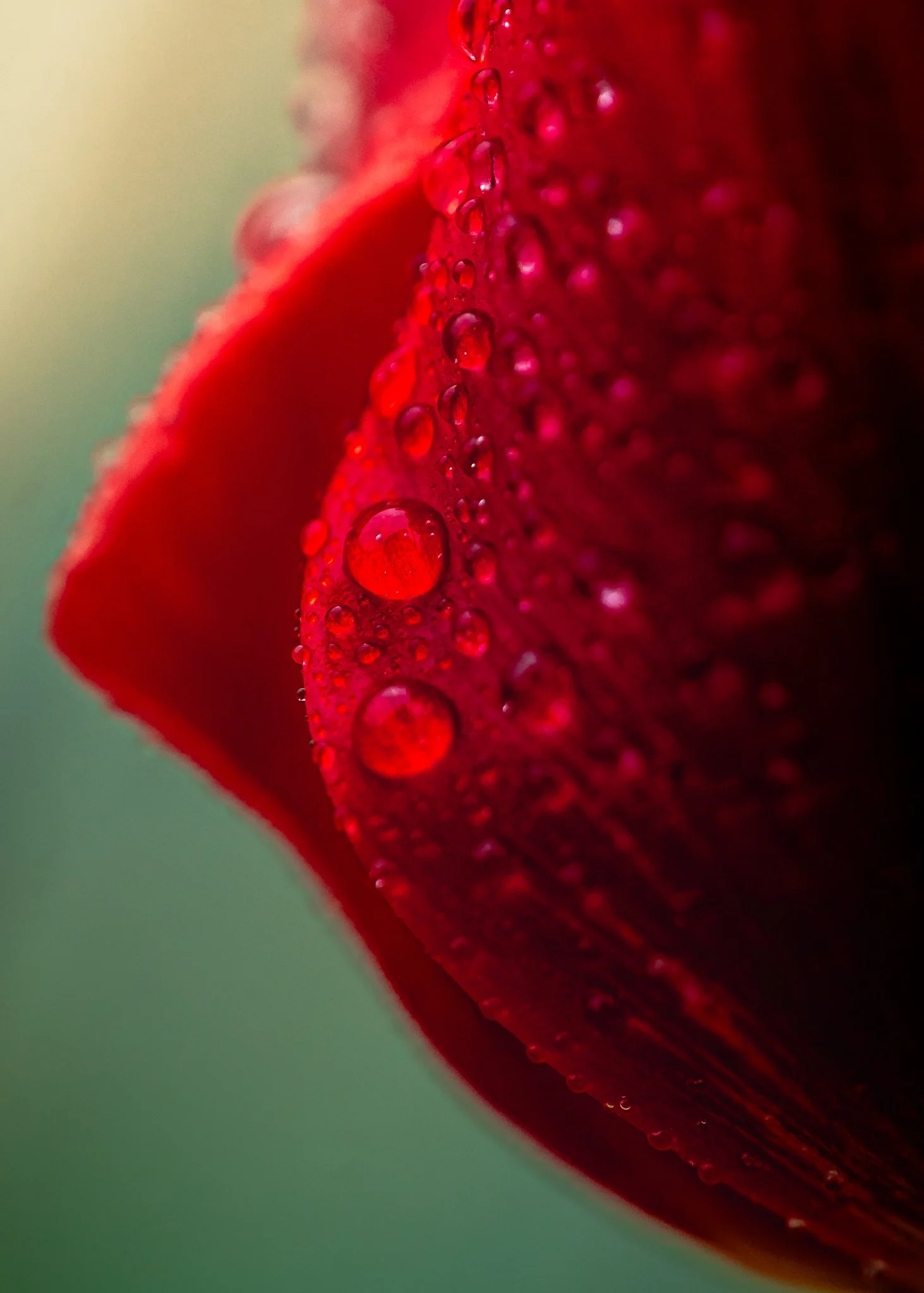 Intimacy