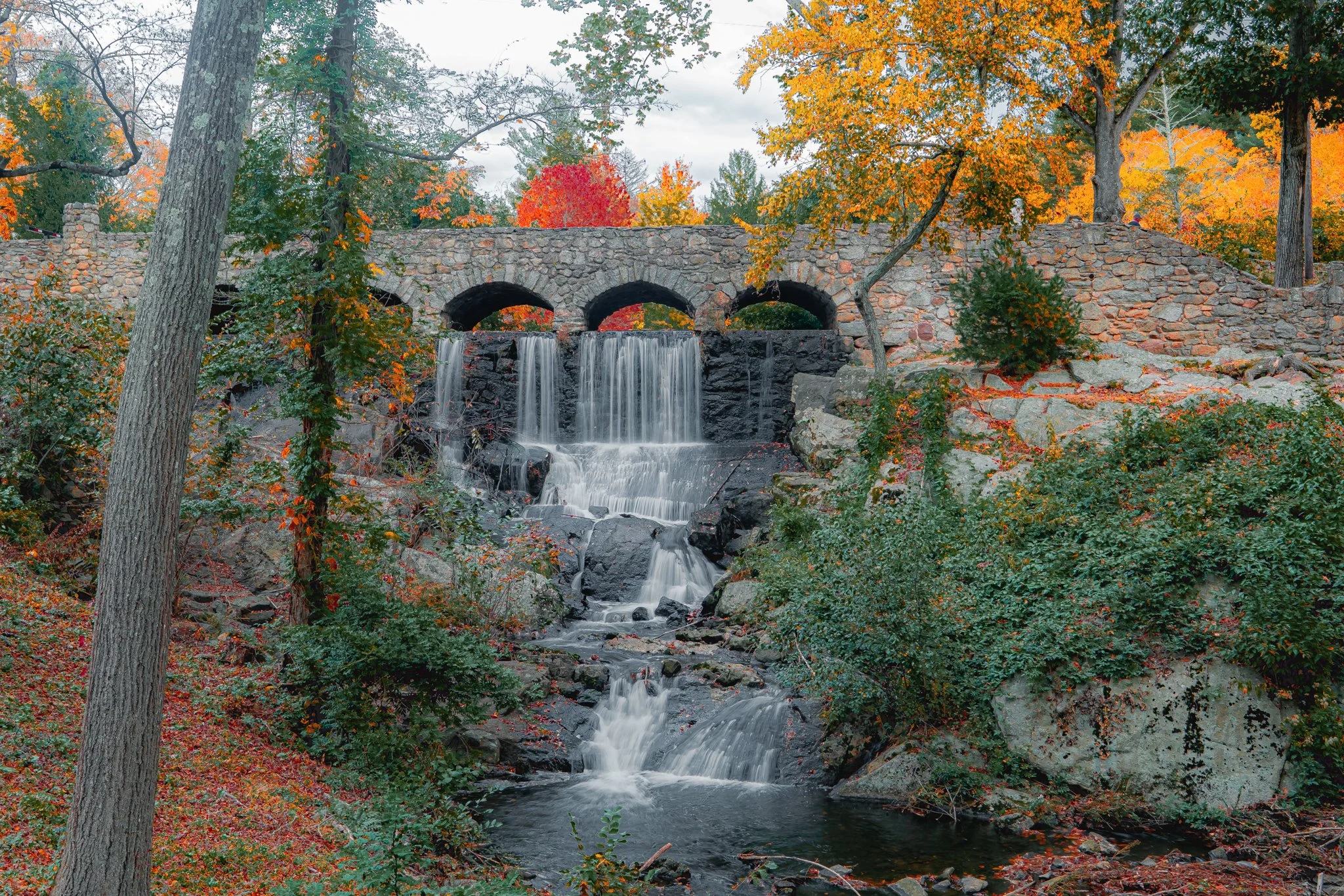 case falls.jpg