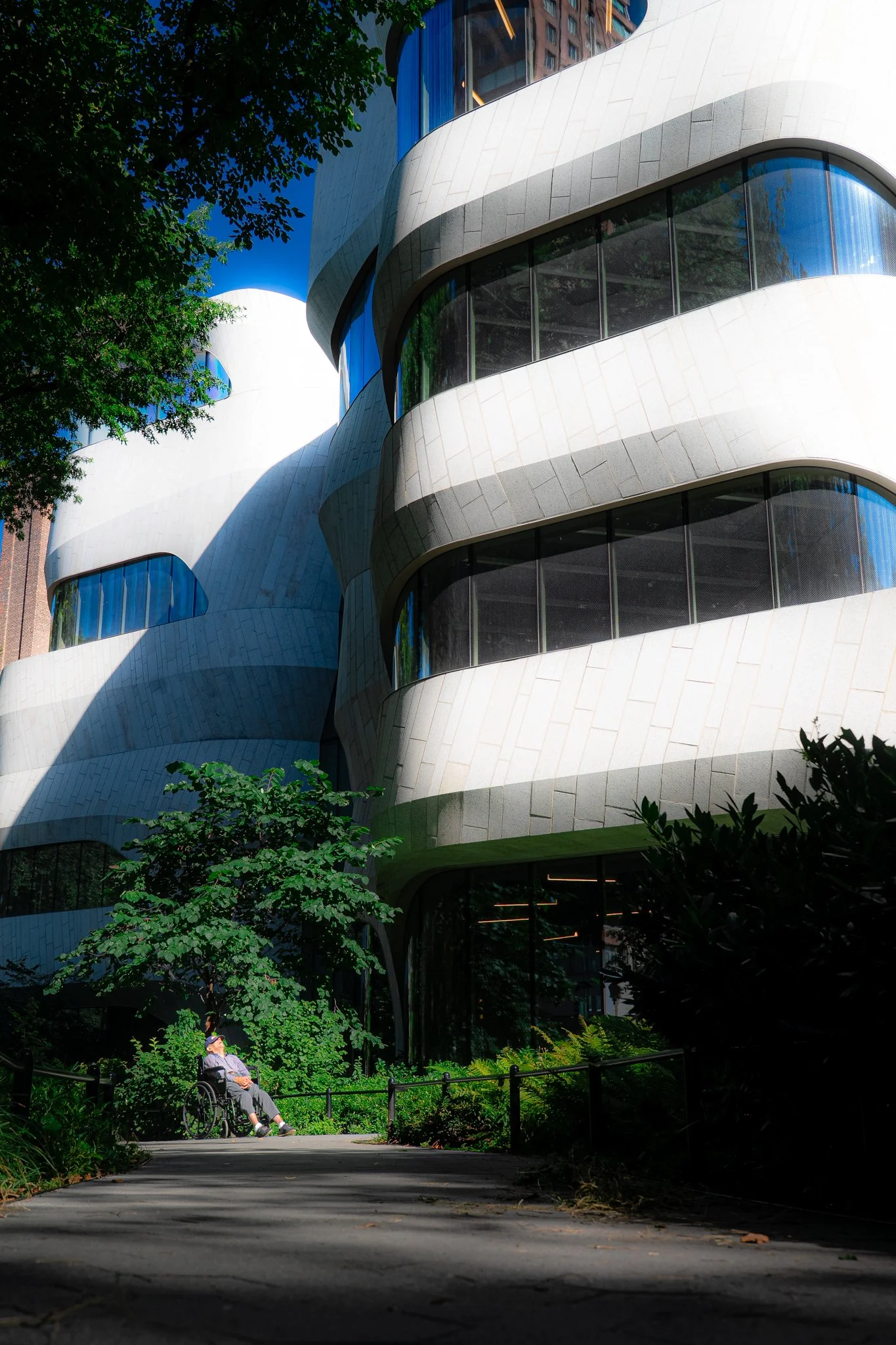 american museum of natural history-4.jpg