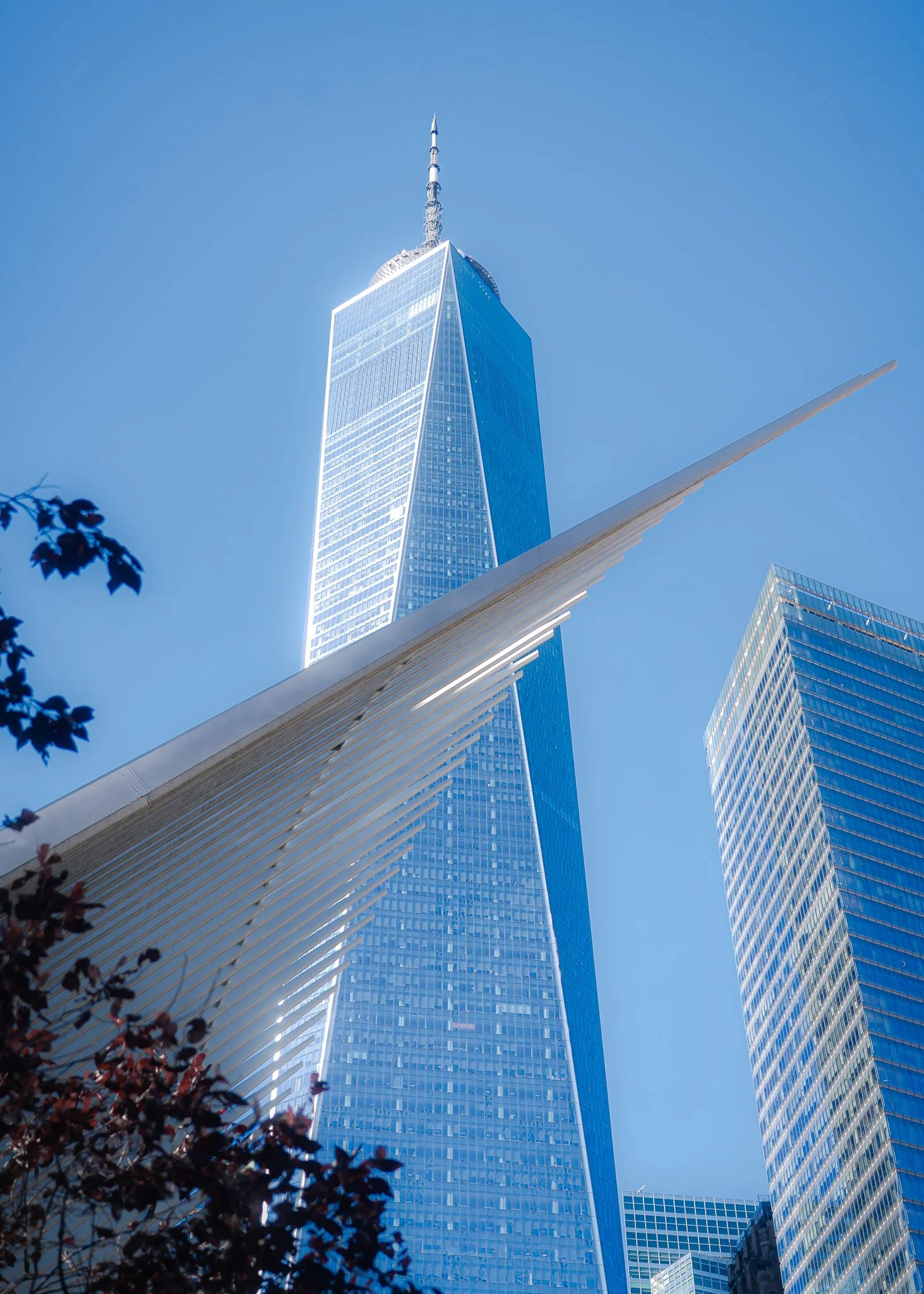 one wtc.jpg
