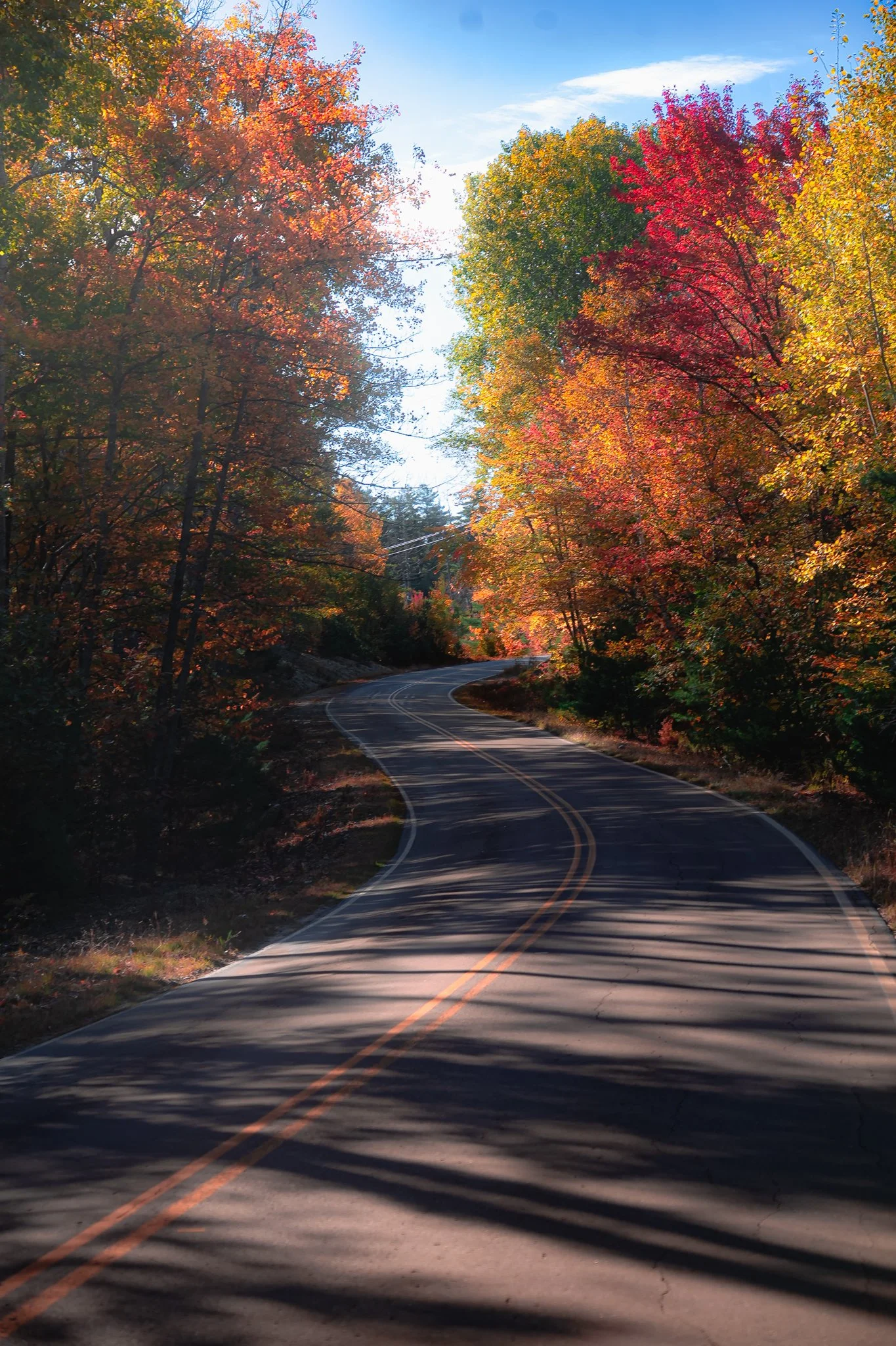 winding through maine.jpg
