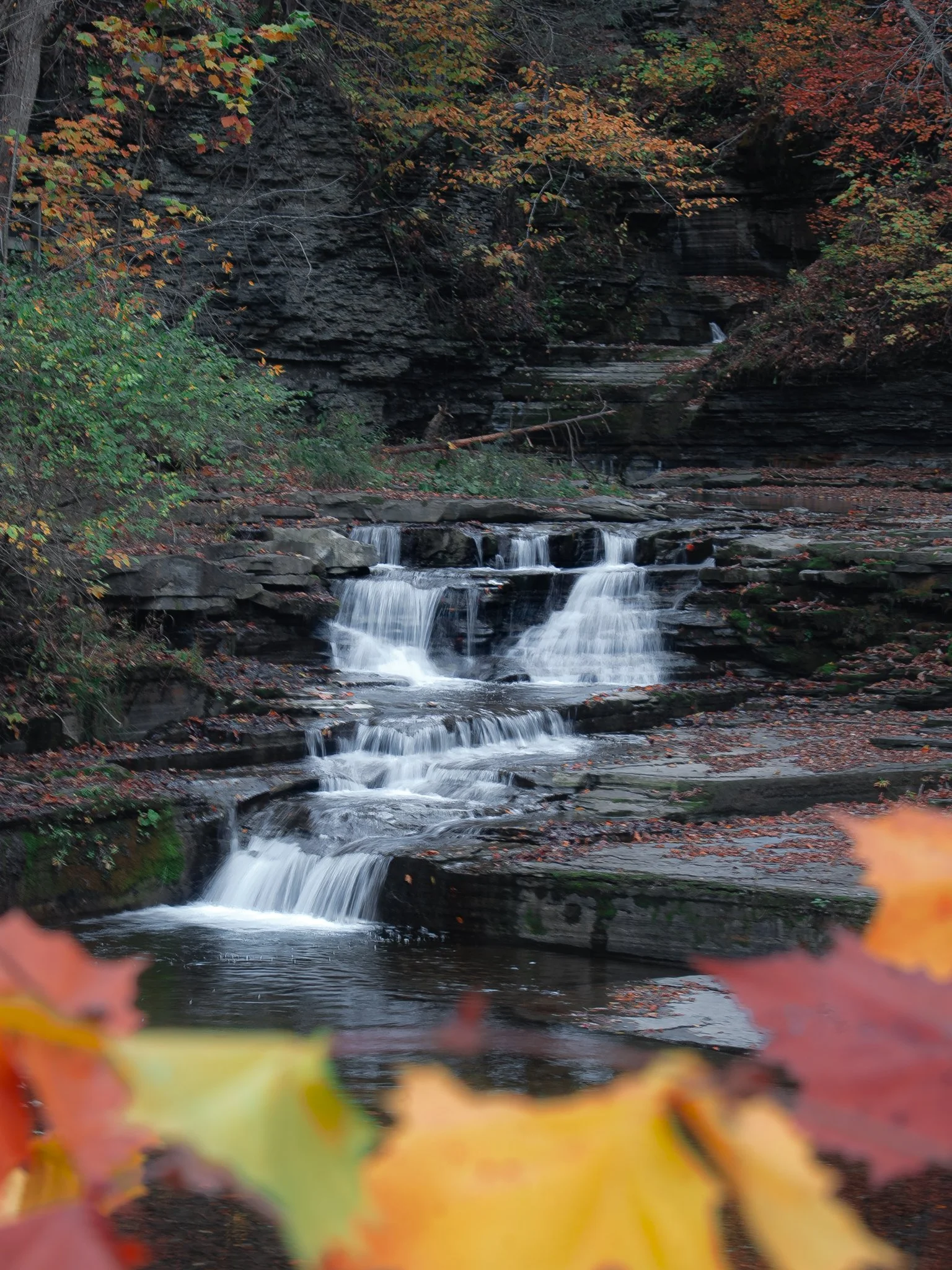 eagle cliff falls.jpg