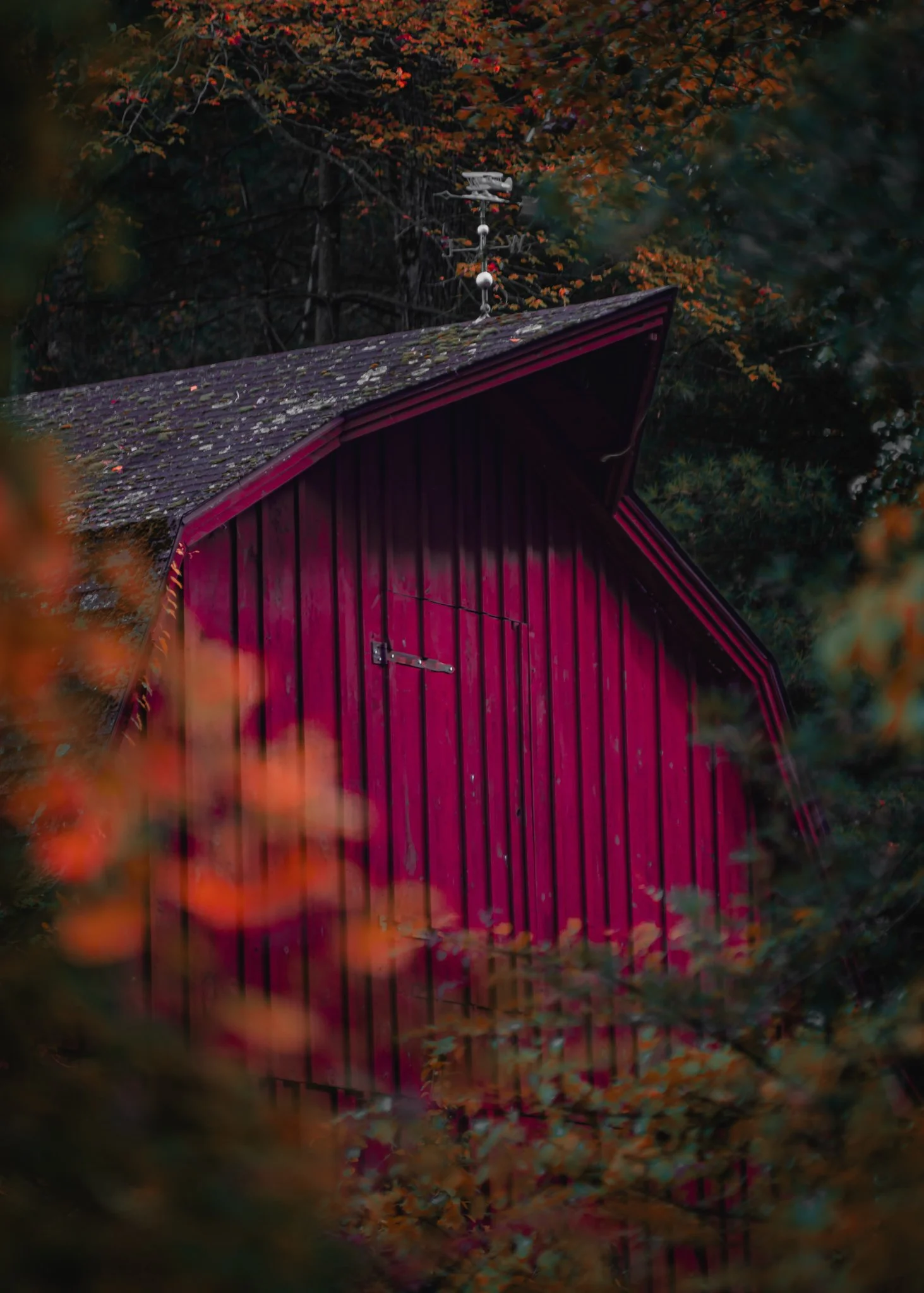 fall in new england.jpg
