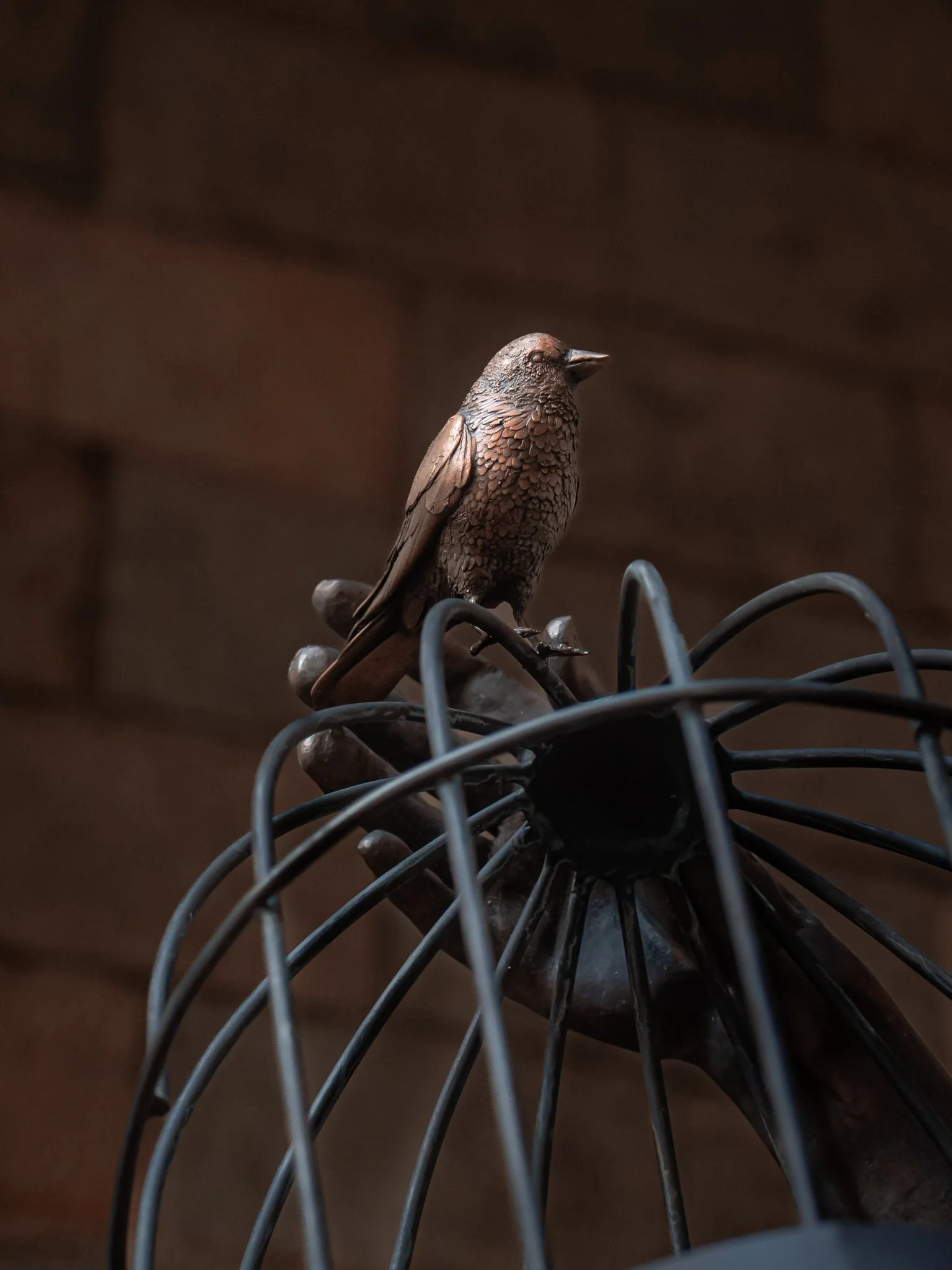 harmonia rosales - unbound-12.jpg