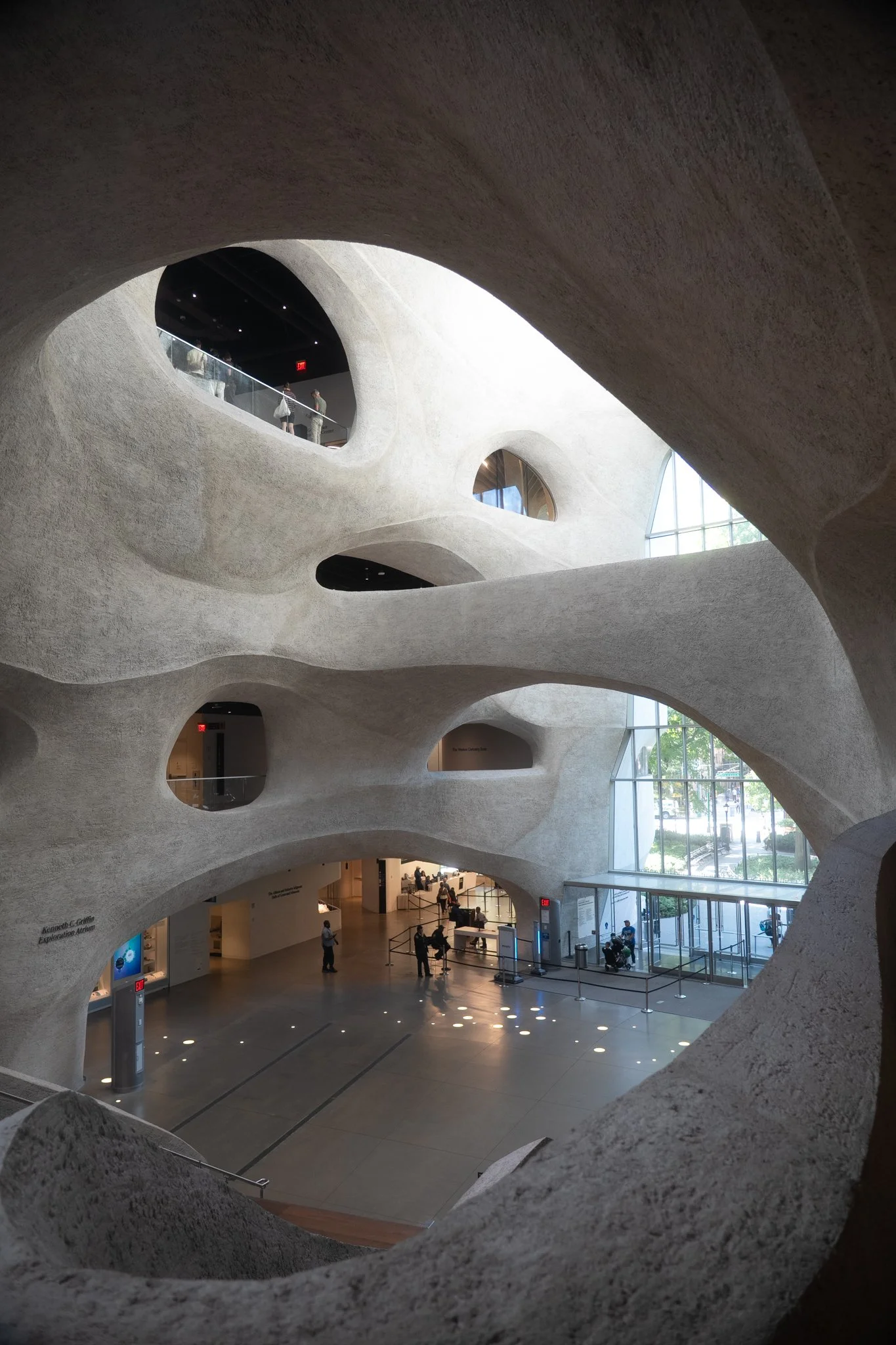 american museum of natural history-2.jpg