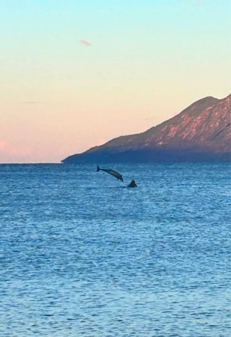 Screenshot 2026-02-03 at 10.07.23.png