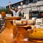 IMG_1384-thumb.jpg