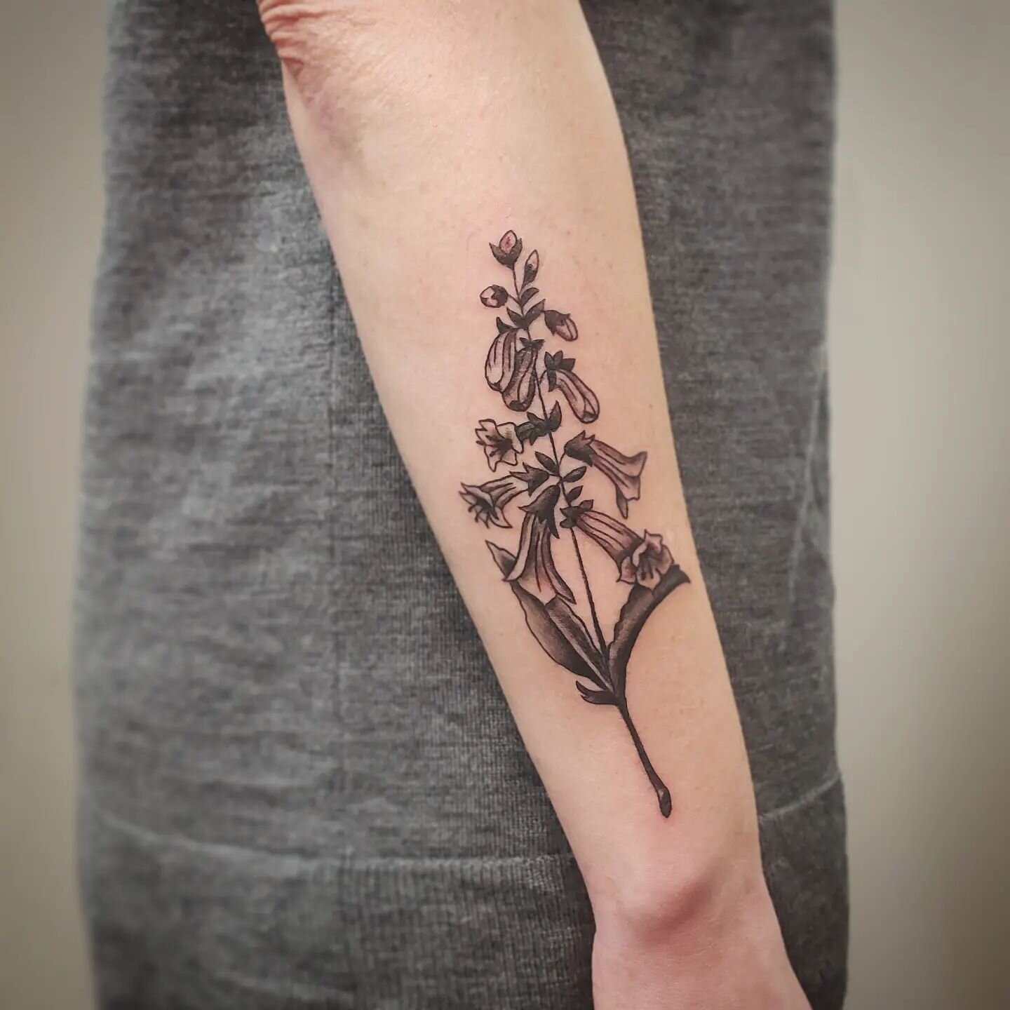 Beardtongue, aka: Foxglove flowers 💐 
.
.
#flowertattoo #flowers #foxglovetattoo #beardtonguetattoo #flowerstattoo #plantladytattoo #planttattoos #tattoos #tattoo #ohiotattoo #ohio #painesvilletattoo #painesvilleohio #painesvilletattooshop #theinkwe