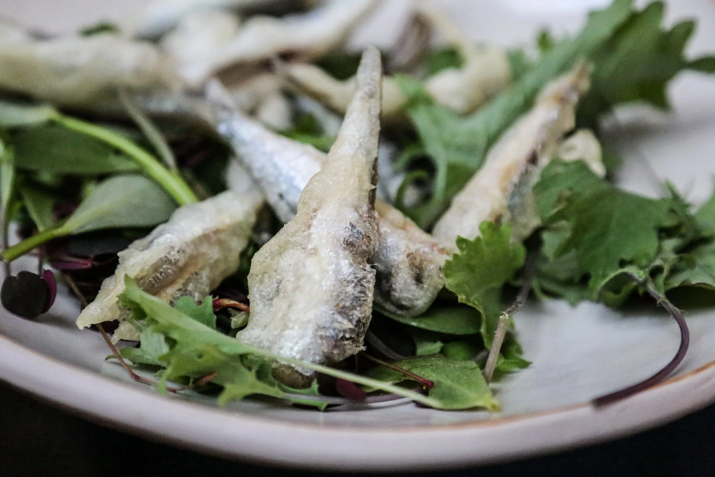 RFPhotoSeafoodStories8.30.16 (22 of 43).jpg