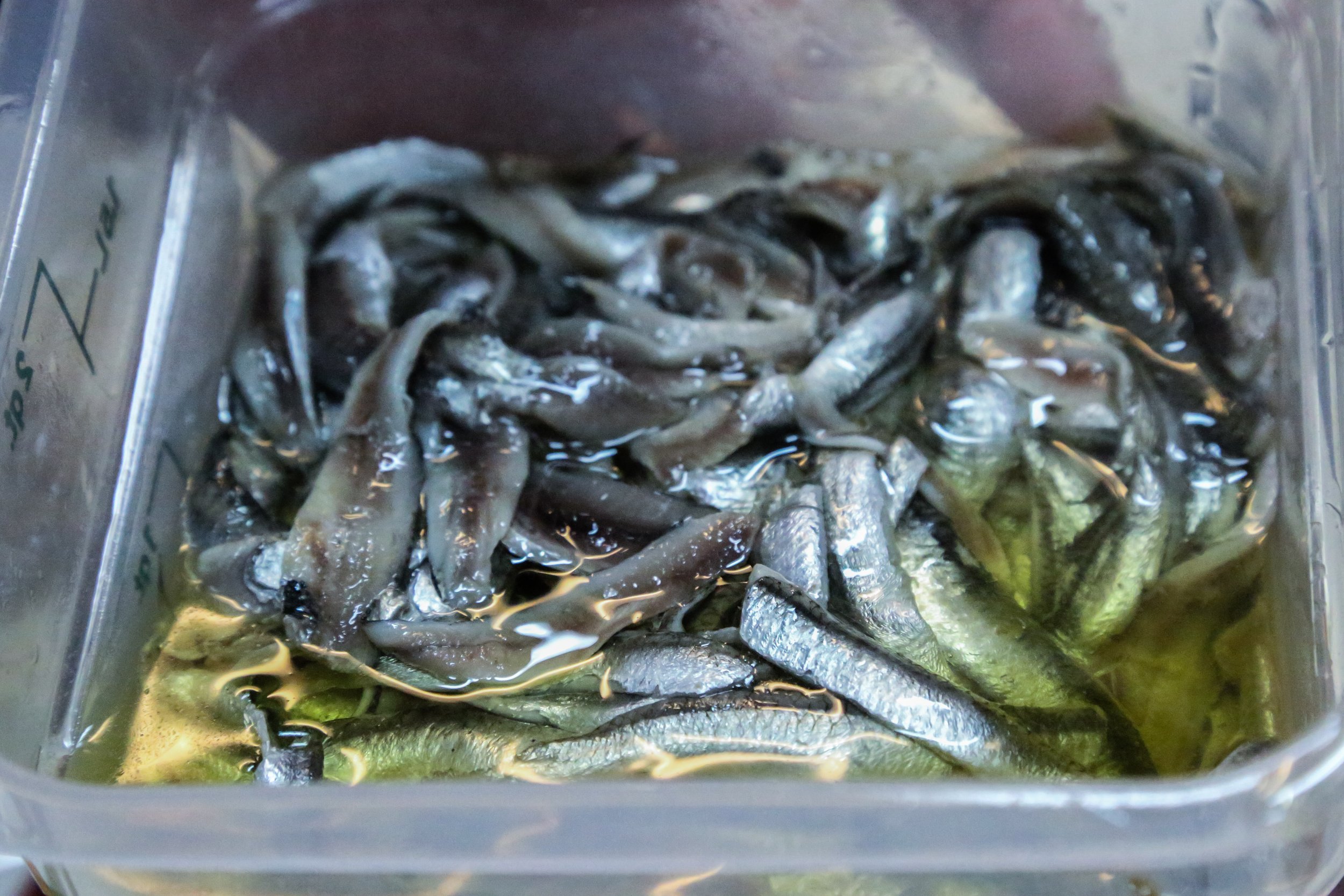 RFPhotoSeafoodStories (24 of 31).jpg